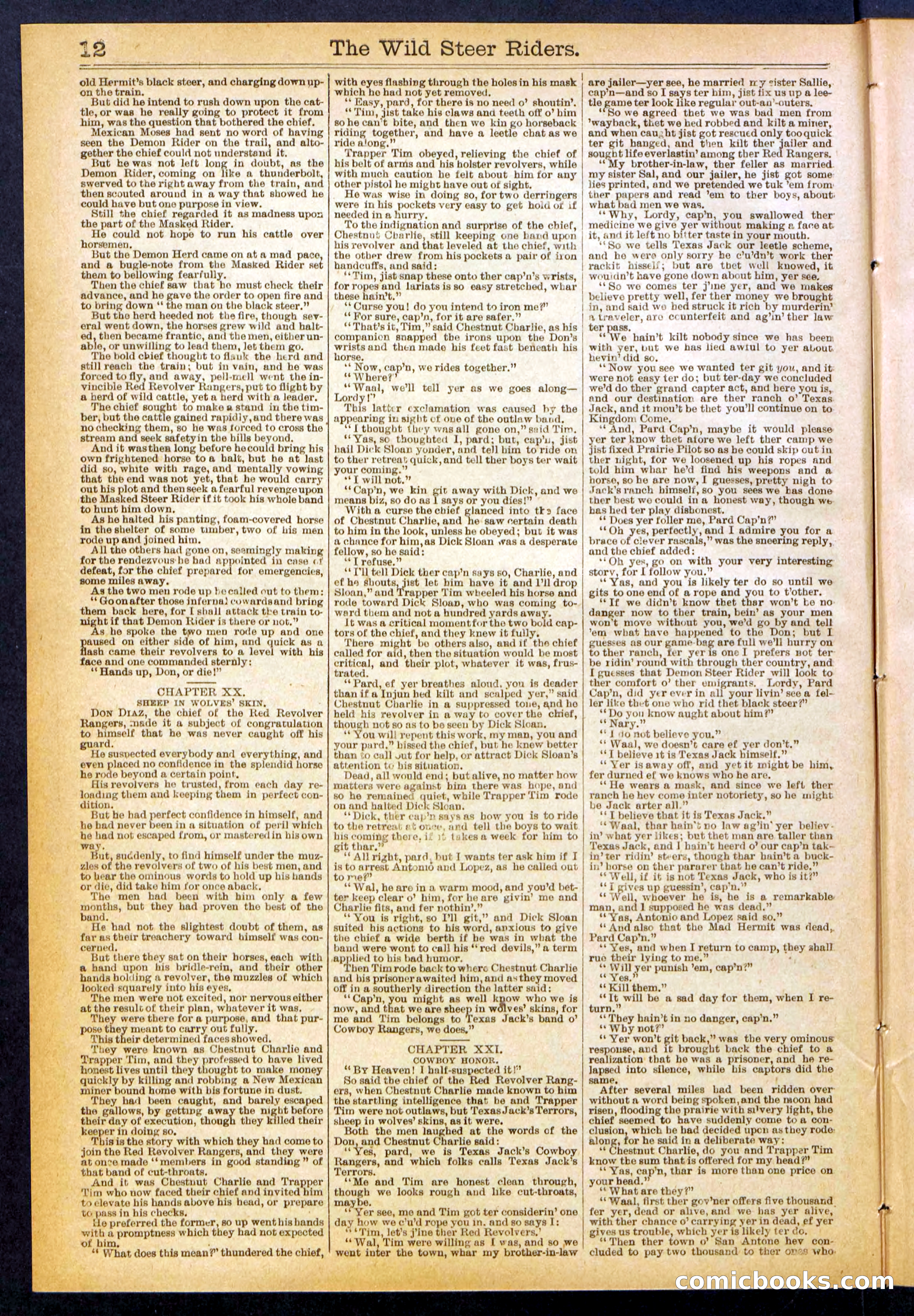 The Wild Steer Riders; or Texas Tricksters — page 12 of 32