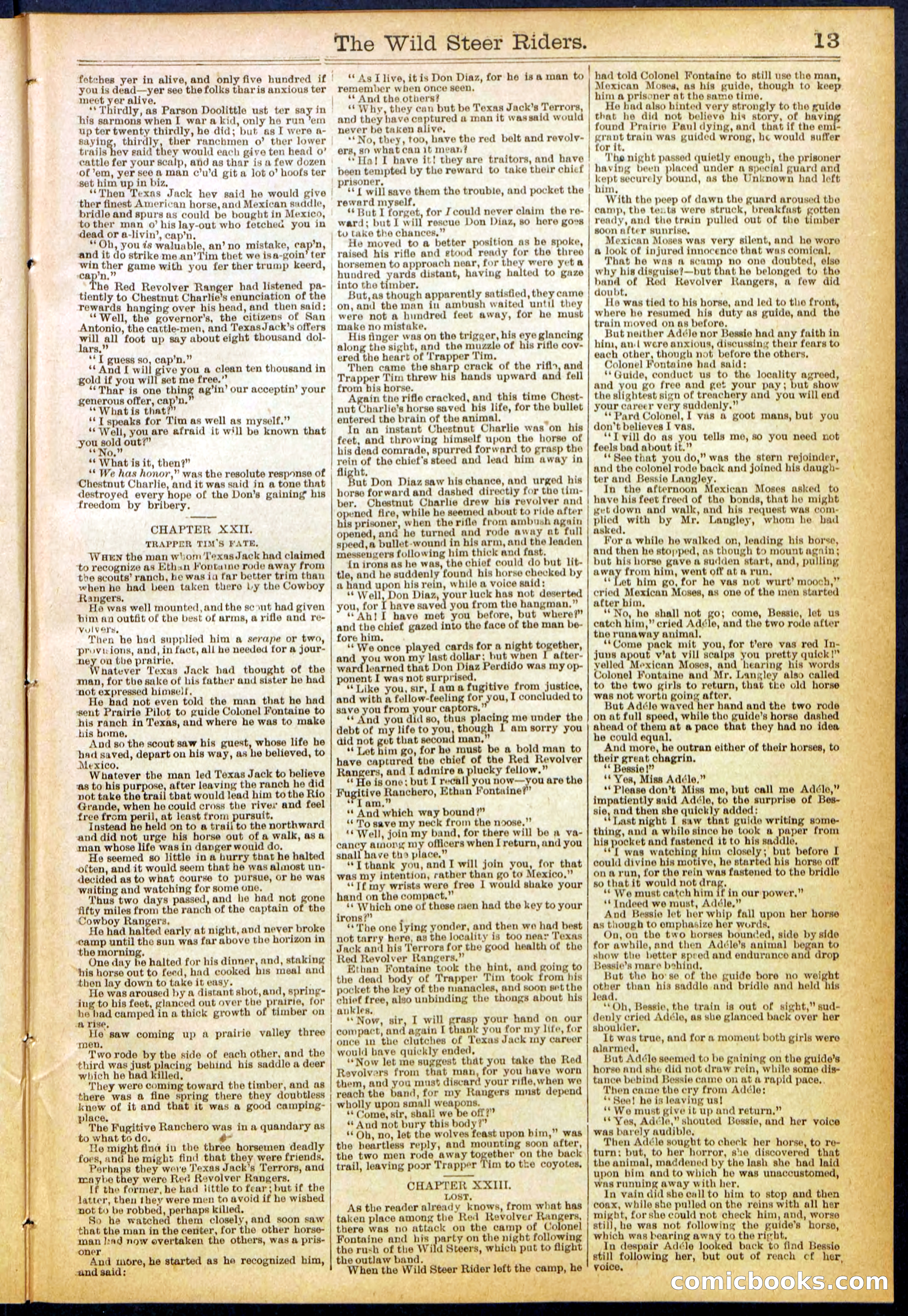 The Wild Steer Riders; or Texas Tricksters — page 13 of 32