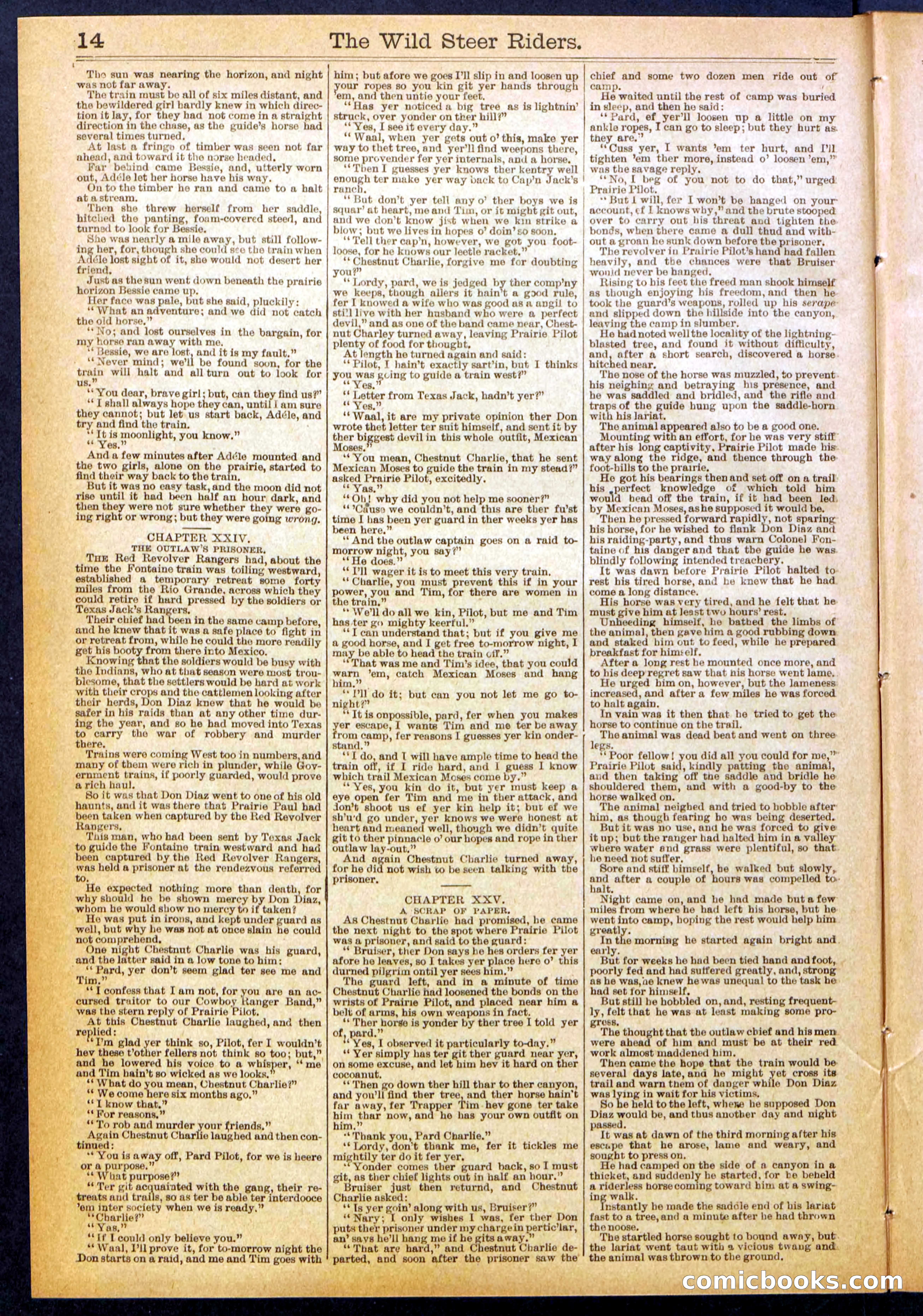 The Wild Steer Riders; or Texas Tricksters — page 14 of 32