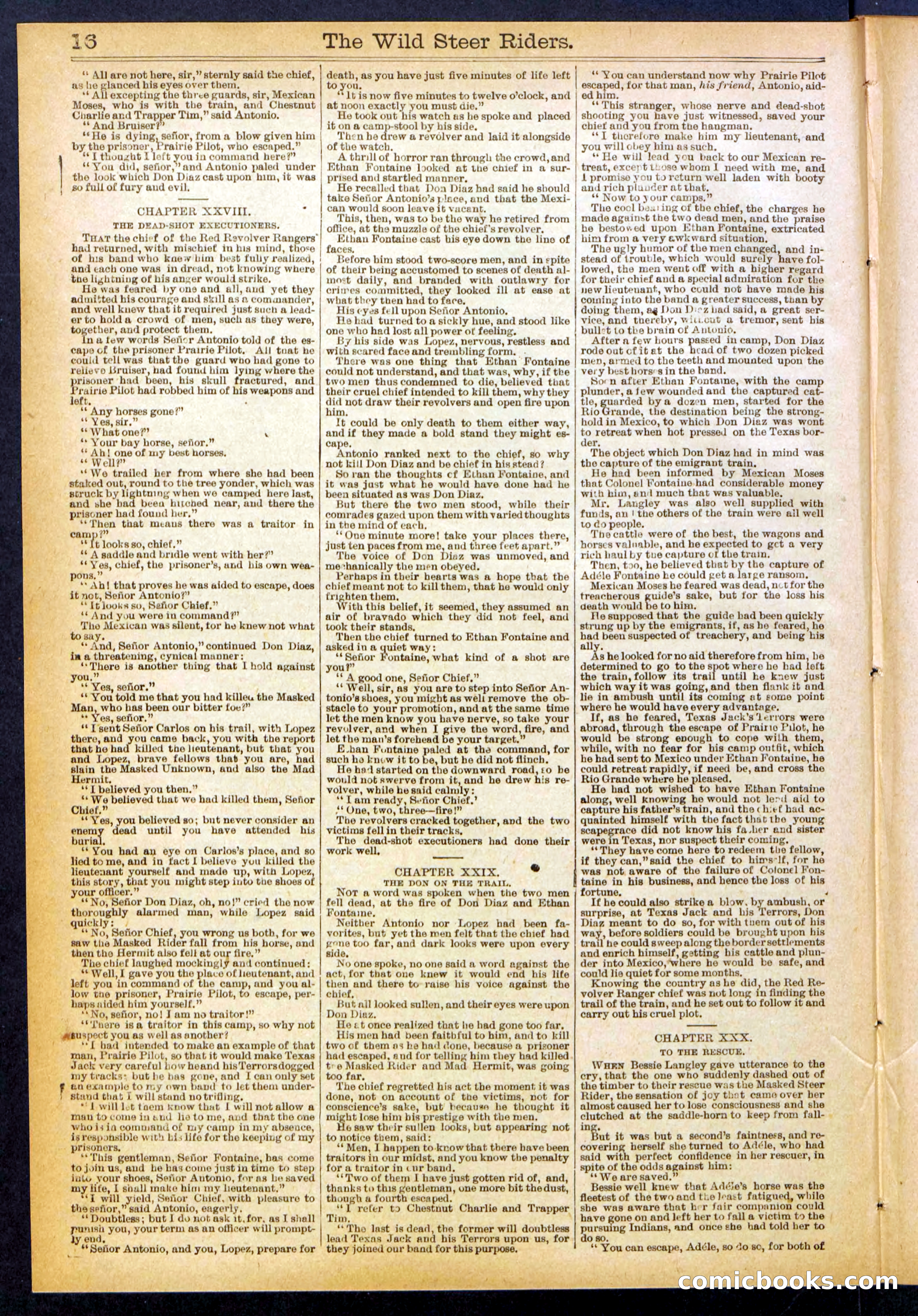 The Wild Steer Riders; or Texas Tricksters — page 16 of 32