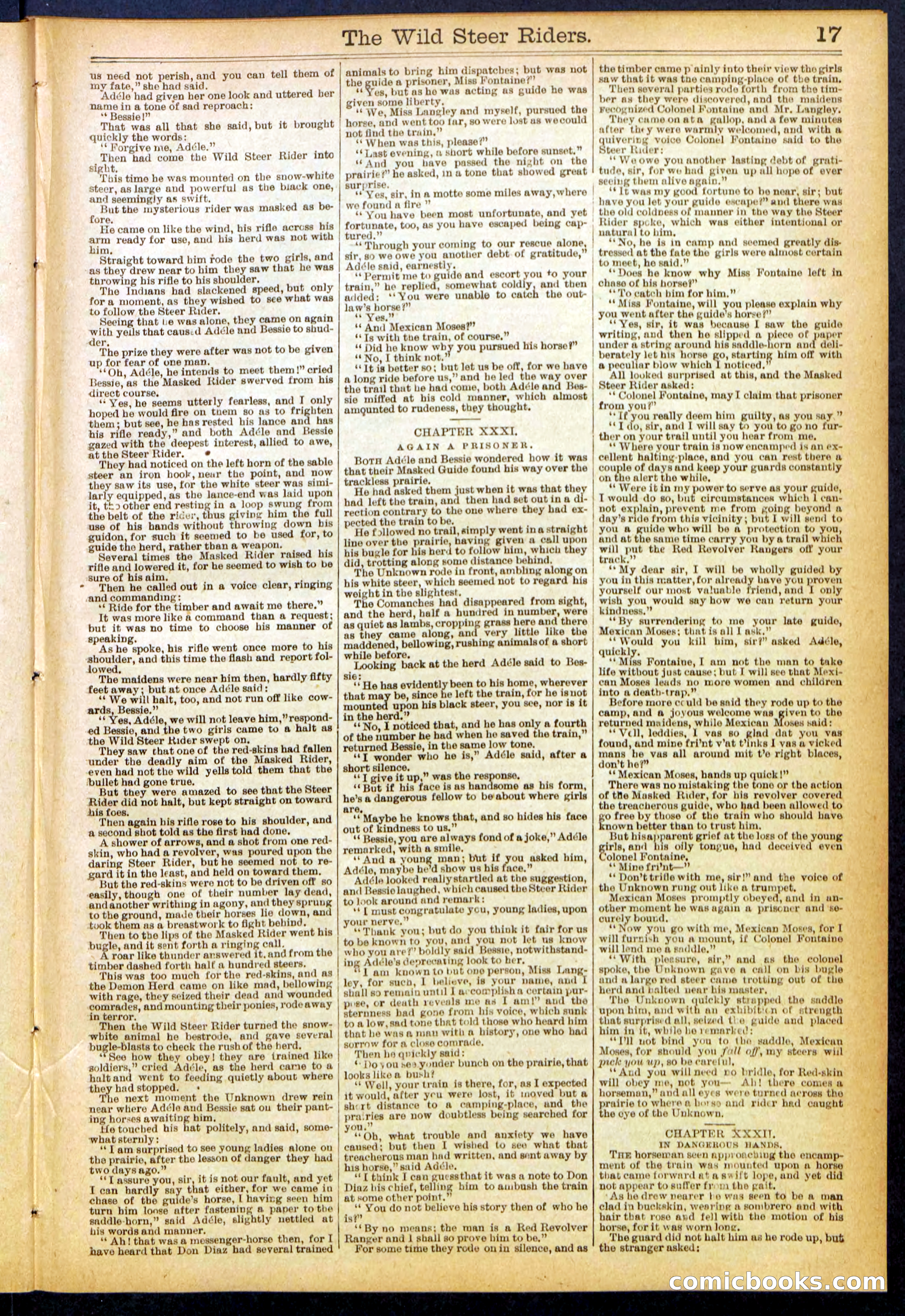 The Wild Steer Riders; or Texas Tricksters — page 17 of 32