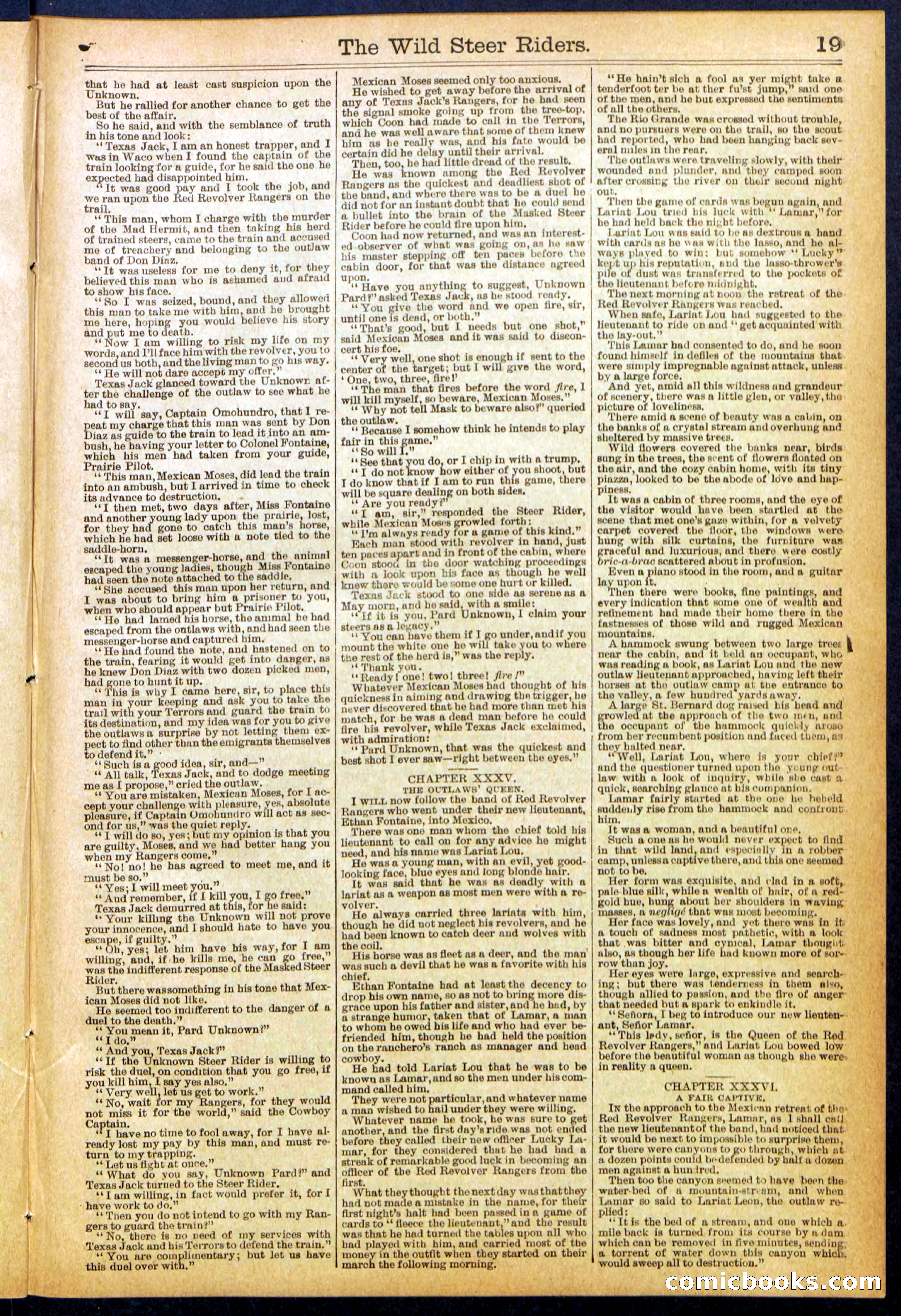 The Wild Steer Riders; or Texas Tricksters — page 19 of 32