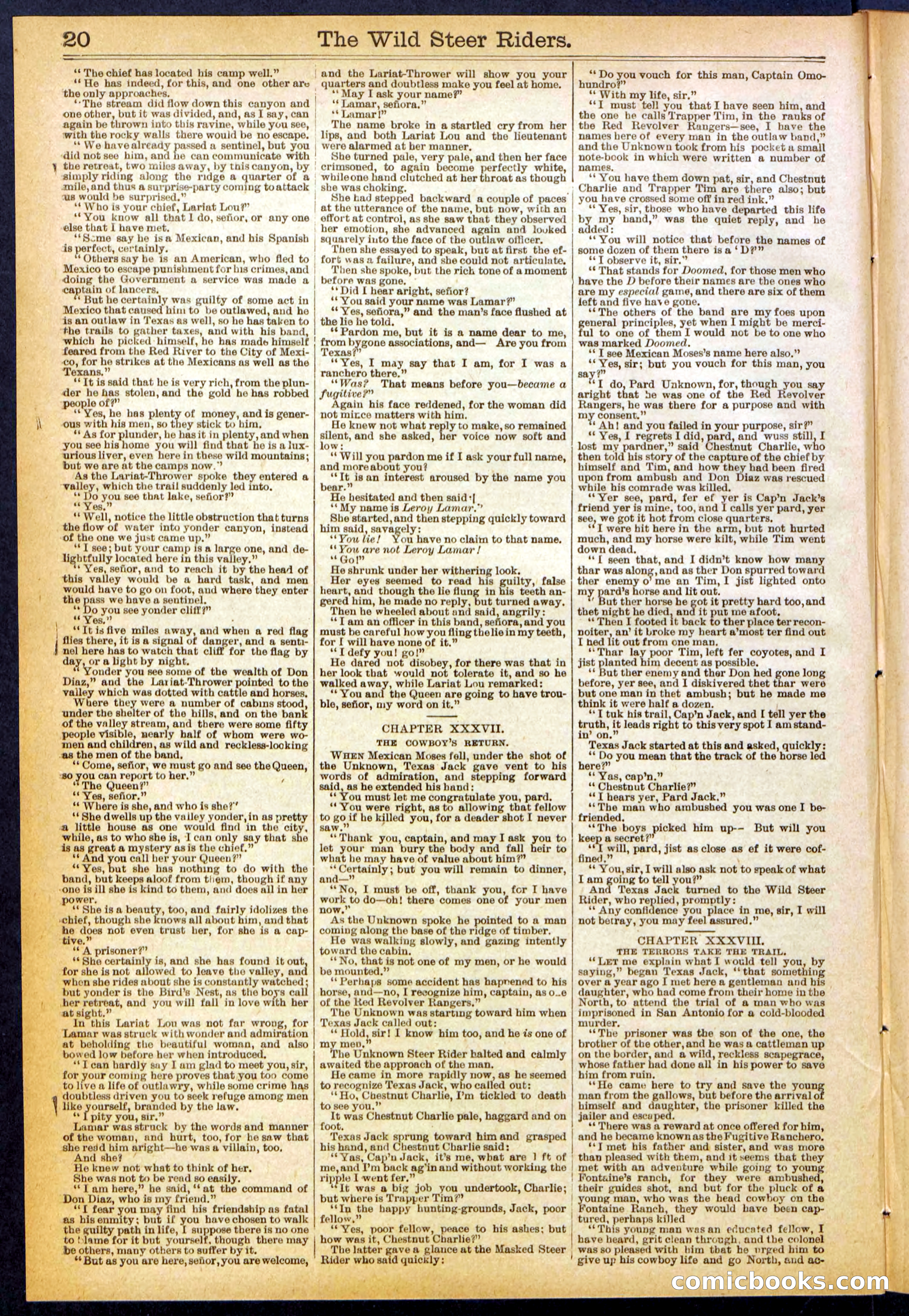 The Wild Steer Riders; or Texas Tricksters — page 20 of 32
