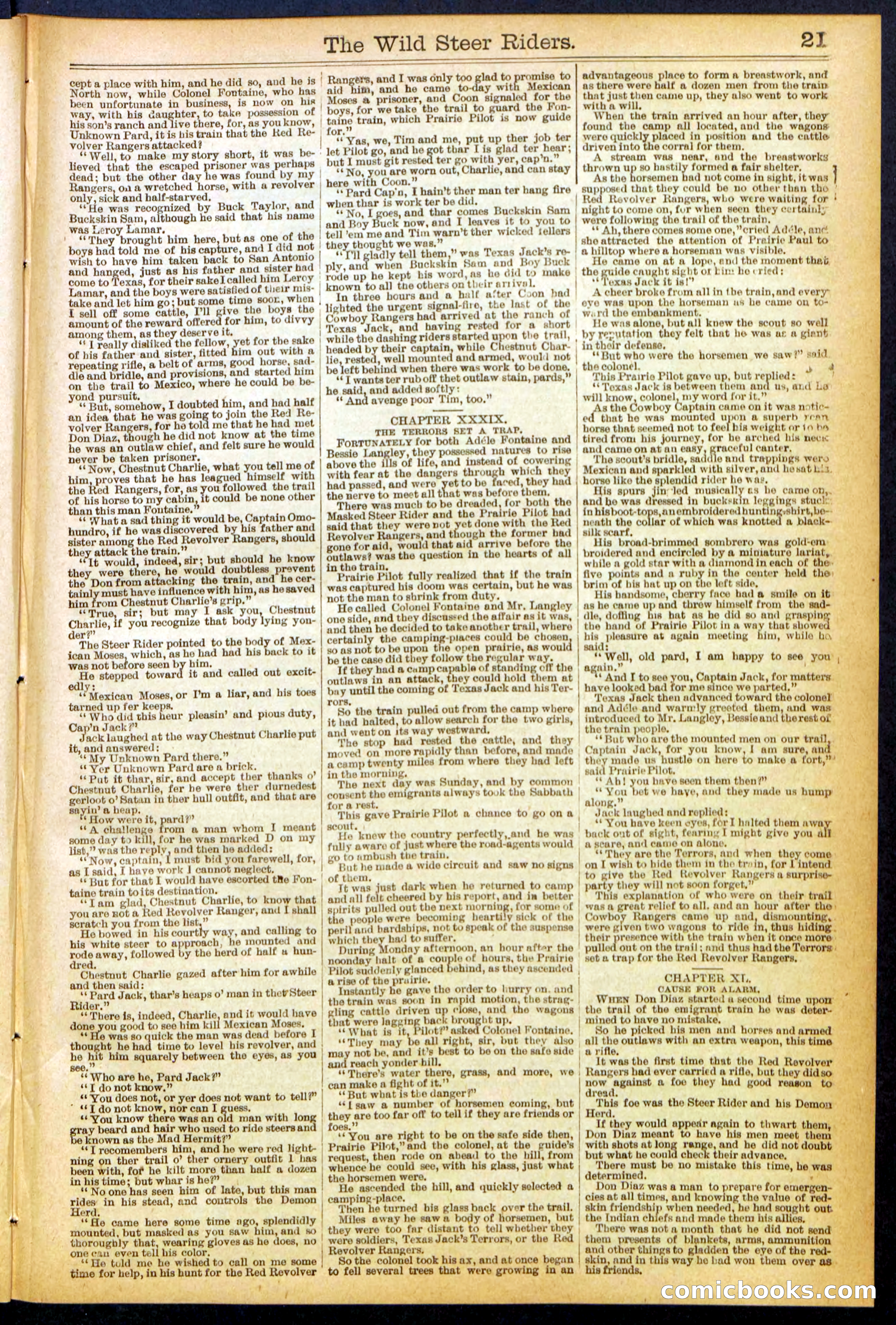 The Wild Steer Riders; or Texas Tricksters — page 21 of 32