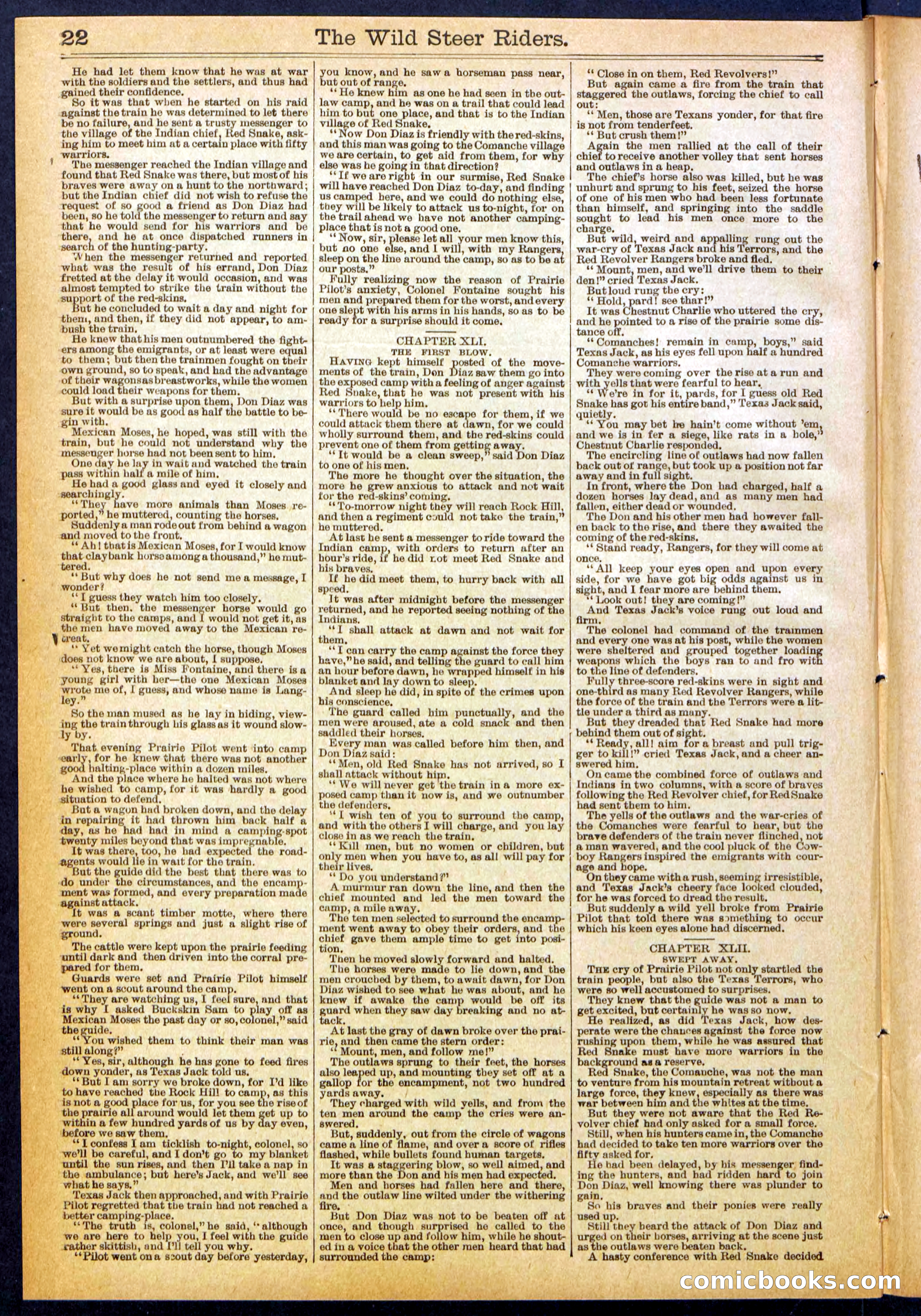 The Wild Steer Riders; or Texas Tricksters — page 22 of 32