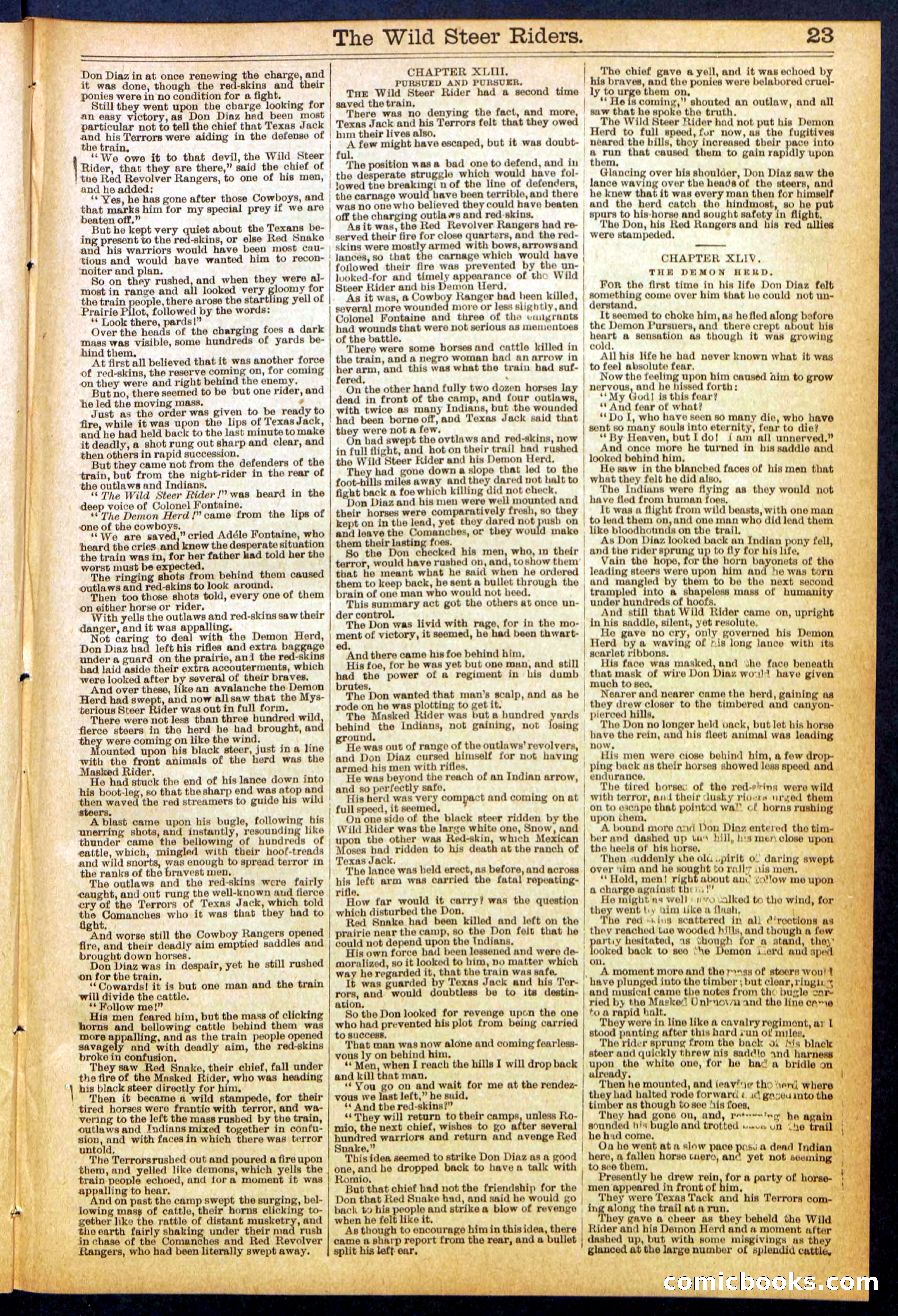 The Wild Steer Riders; or Texas Tricksters — page 23 of 32