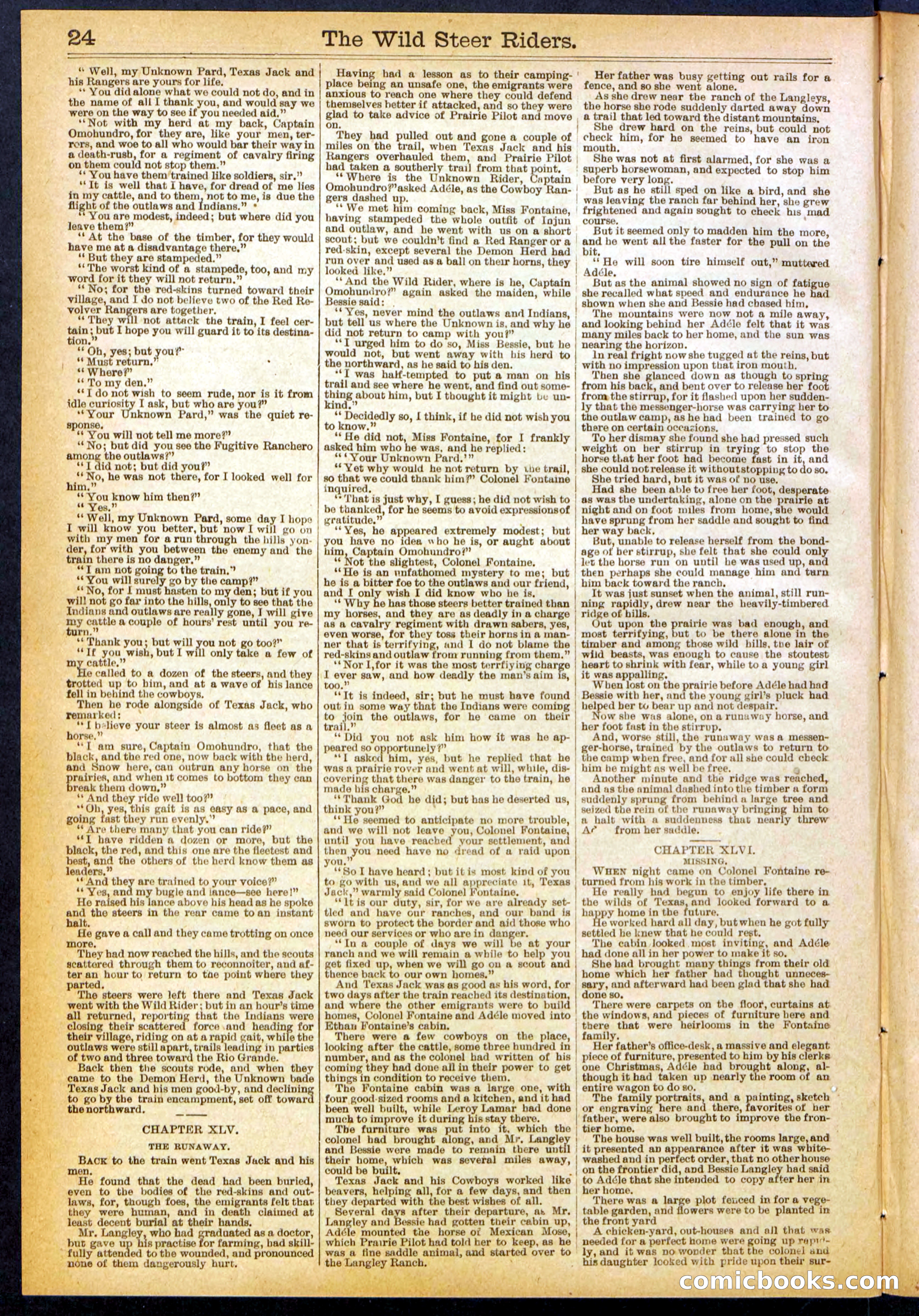 The Wild Steer Riders; or Texas Tricksters — page 24 of 32