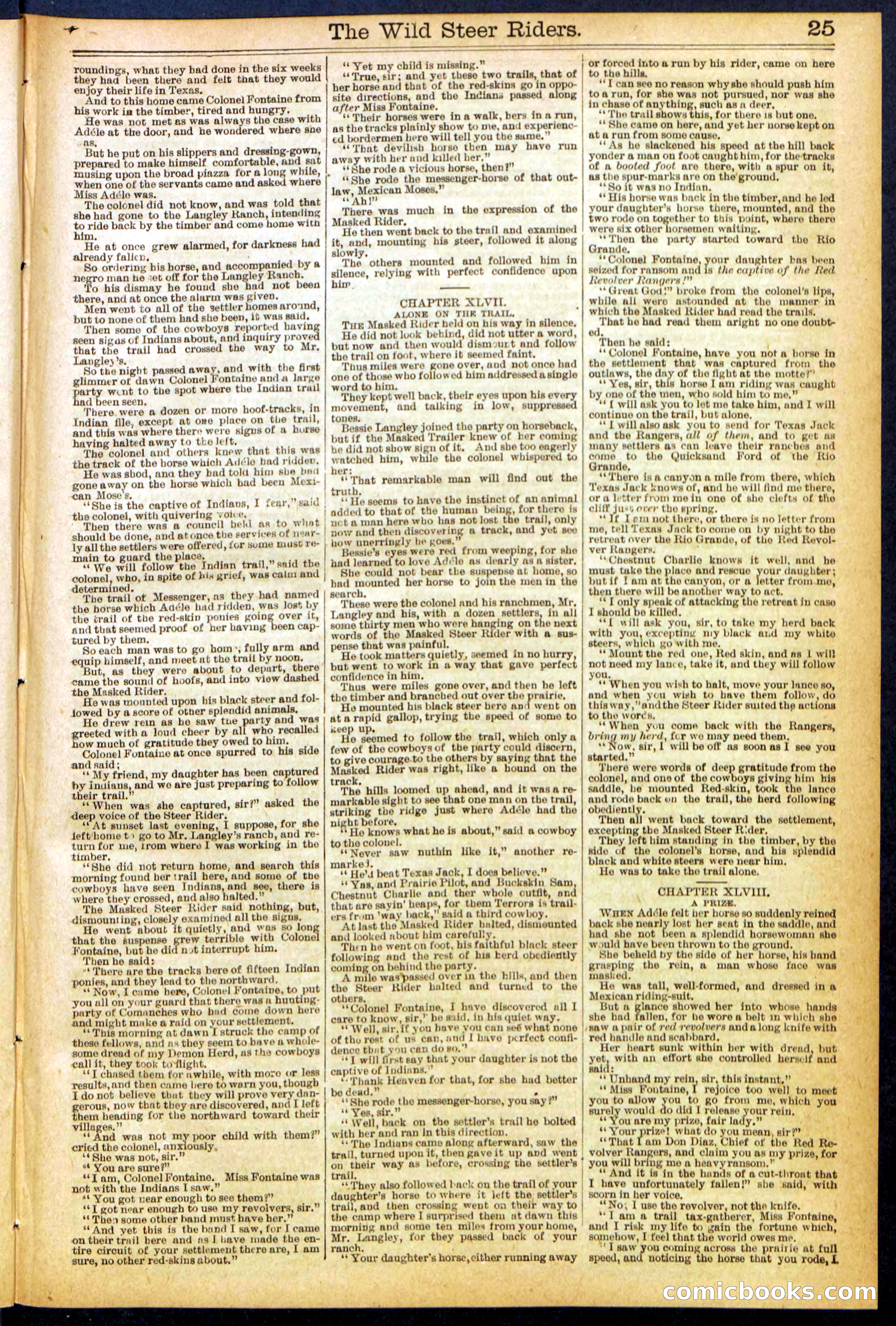 The Wild Steer Riders; or Texas Tricksters — page 25 of 32