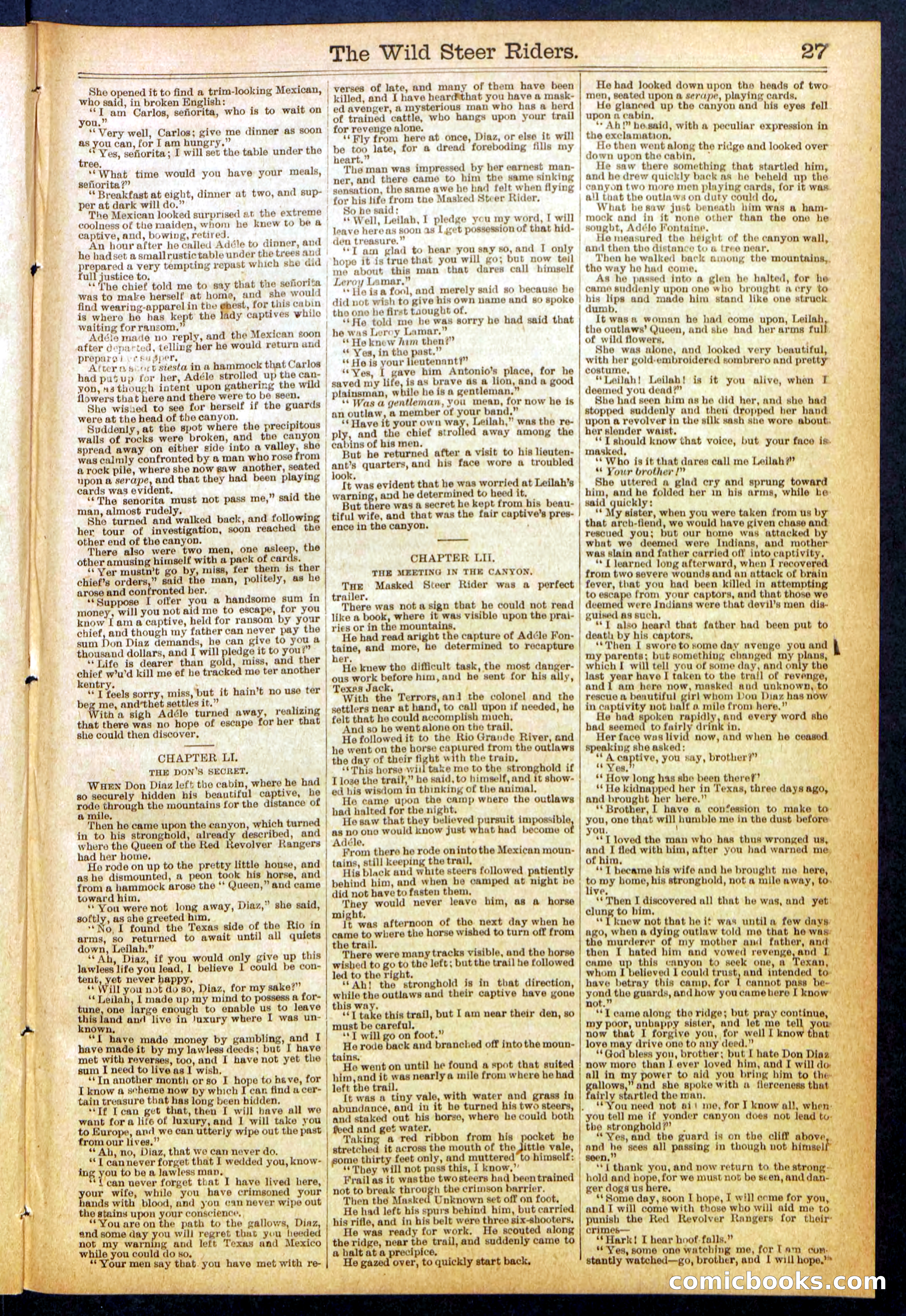 The Wild Steer Riders; or Texas Tricksters — page 27 of 32