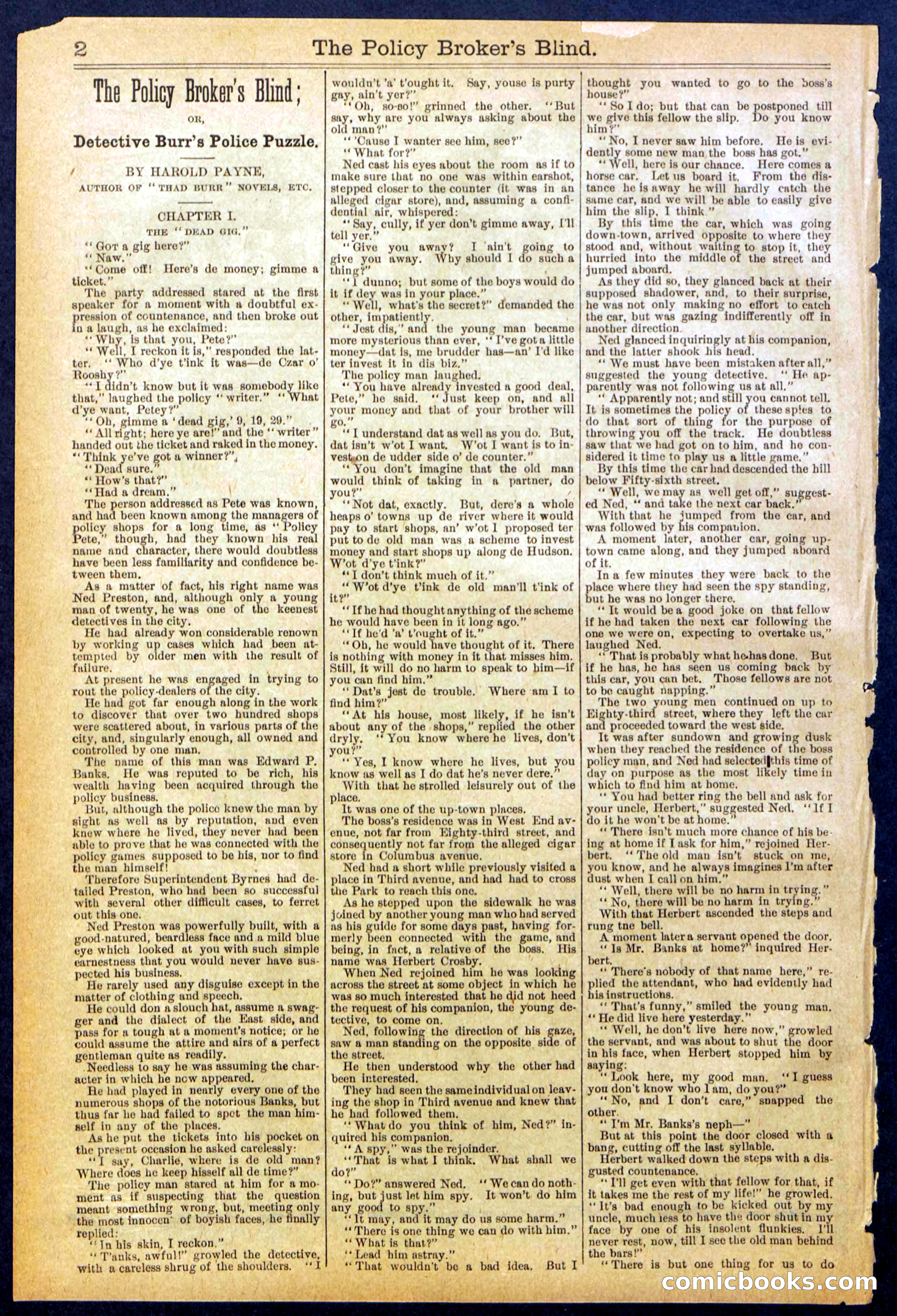 The Policy Broker's Blind; or, Detective Burr's Police Puzzle — page 2 of 32