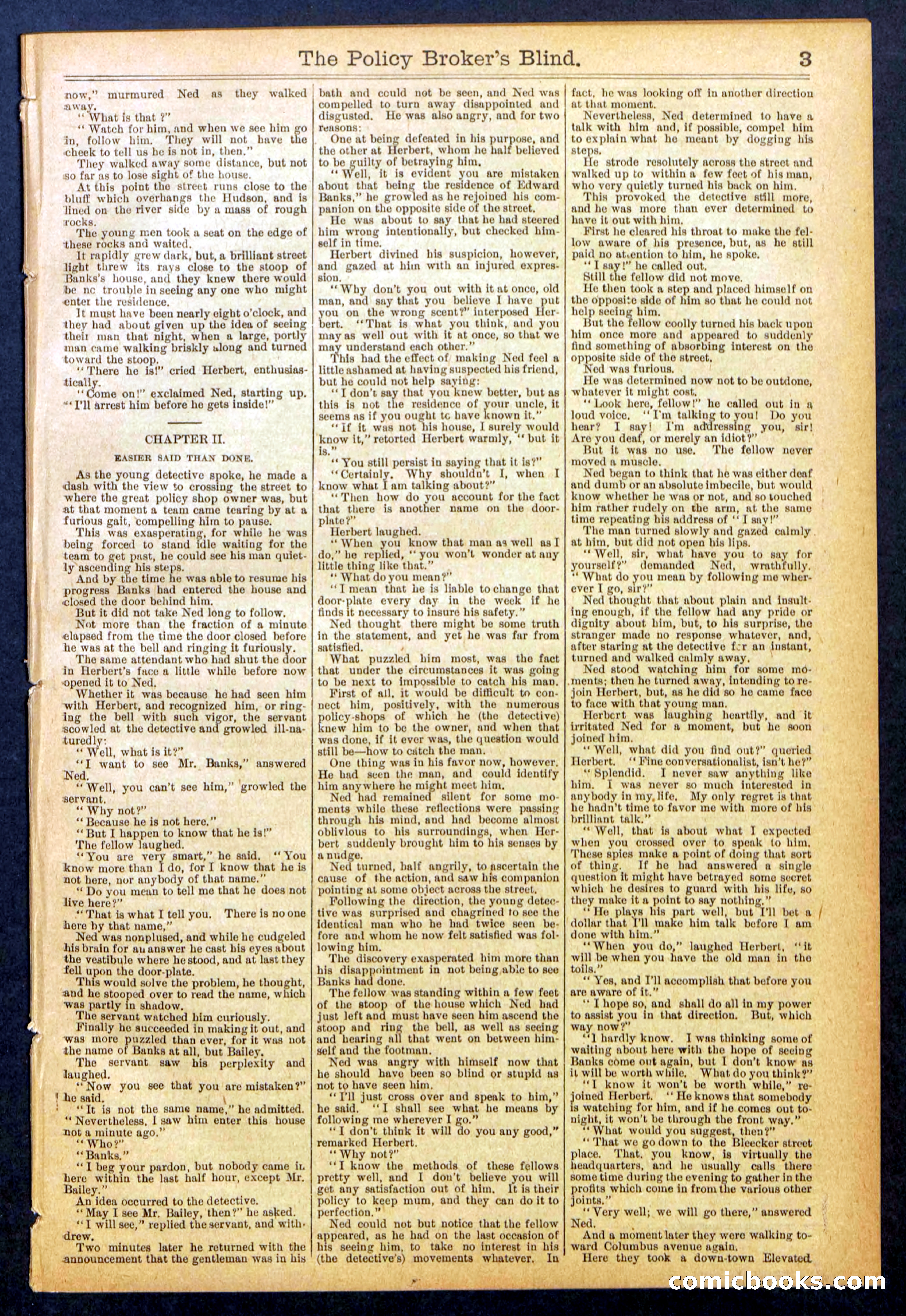 The Policy Broker's Blind; or, Detective Burr's Police Puzzle — page 3 of 32