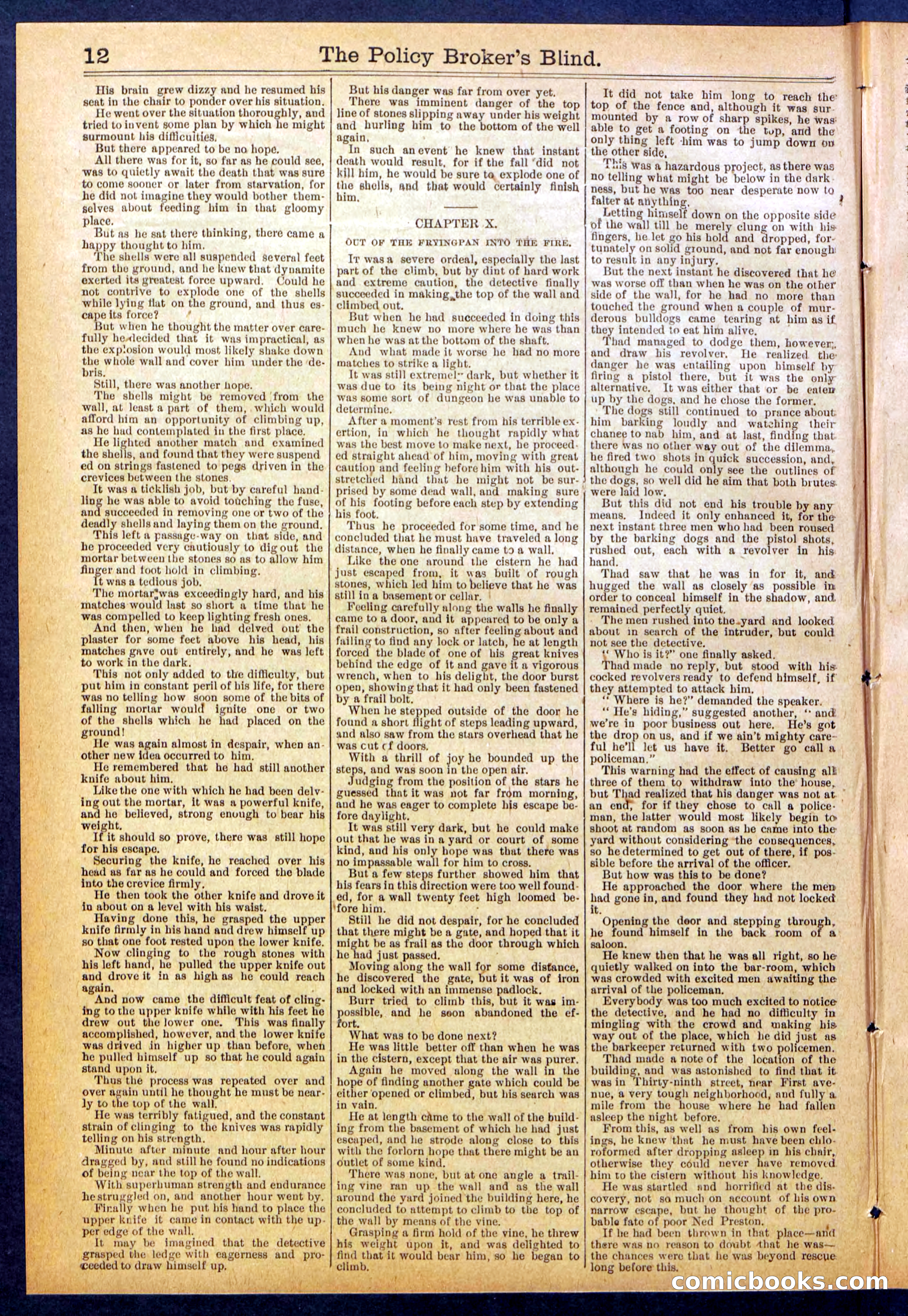The Policy Broker's Blind; or, Detective Burr's Police Puzzle — page 12 of 32