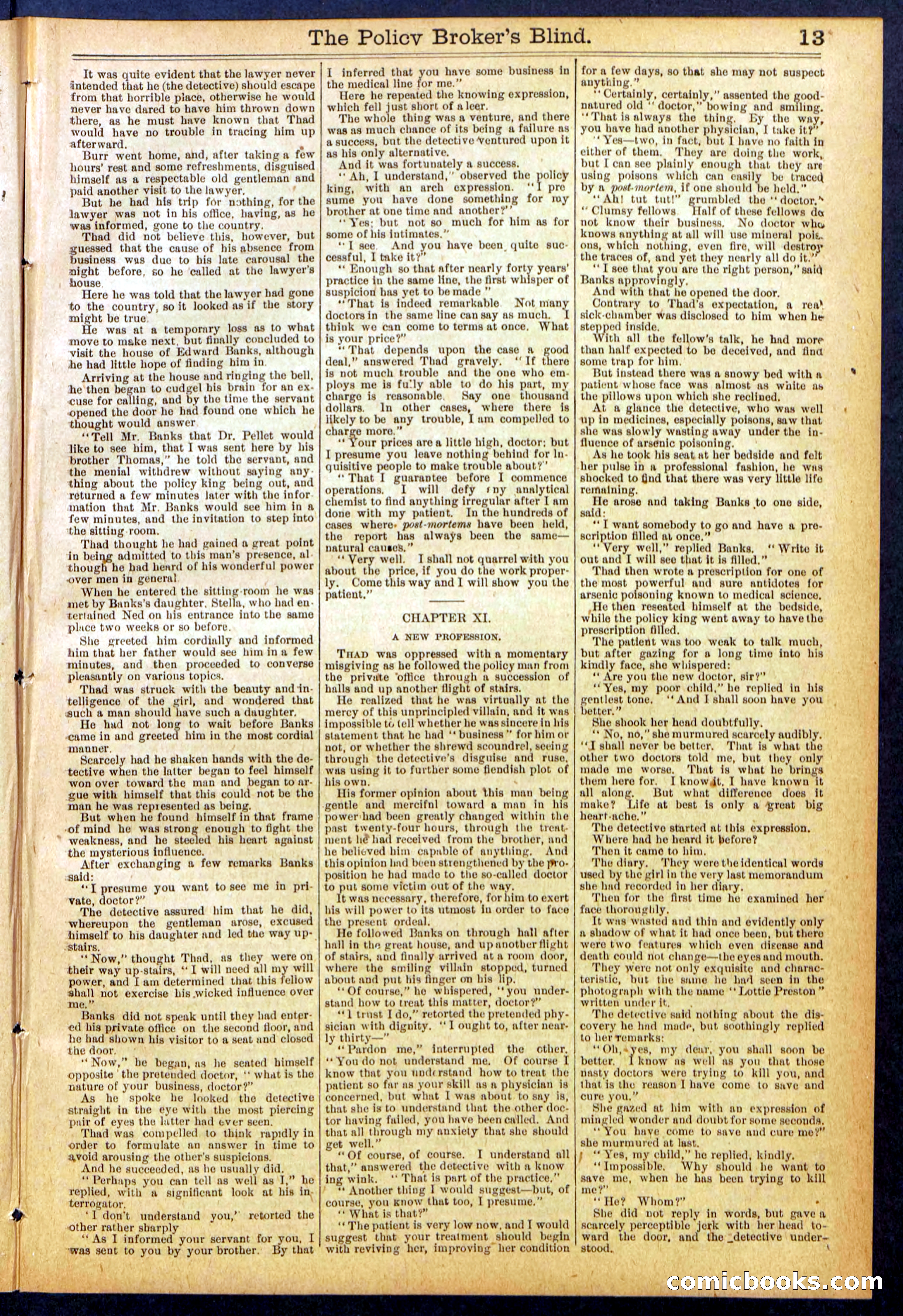 The Policy Broker's Blind; or, Detective Burr's Police Puzzle — page 13 of 32