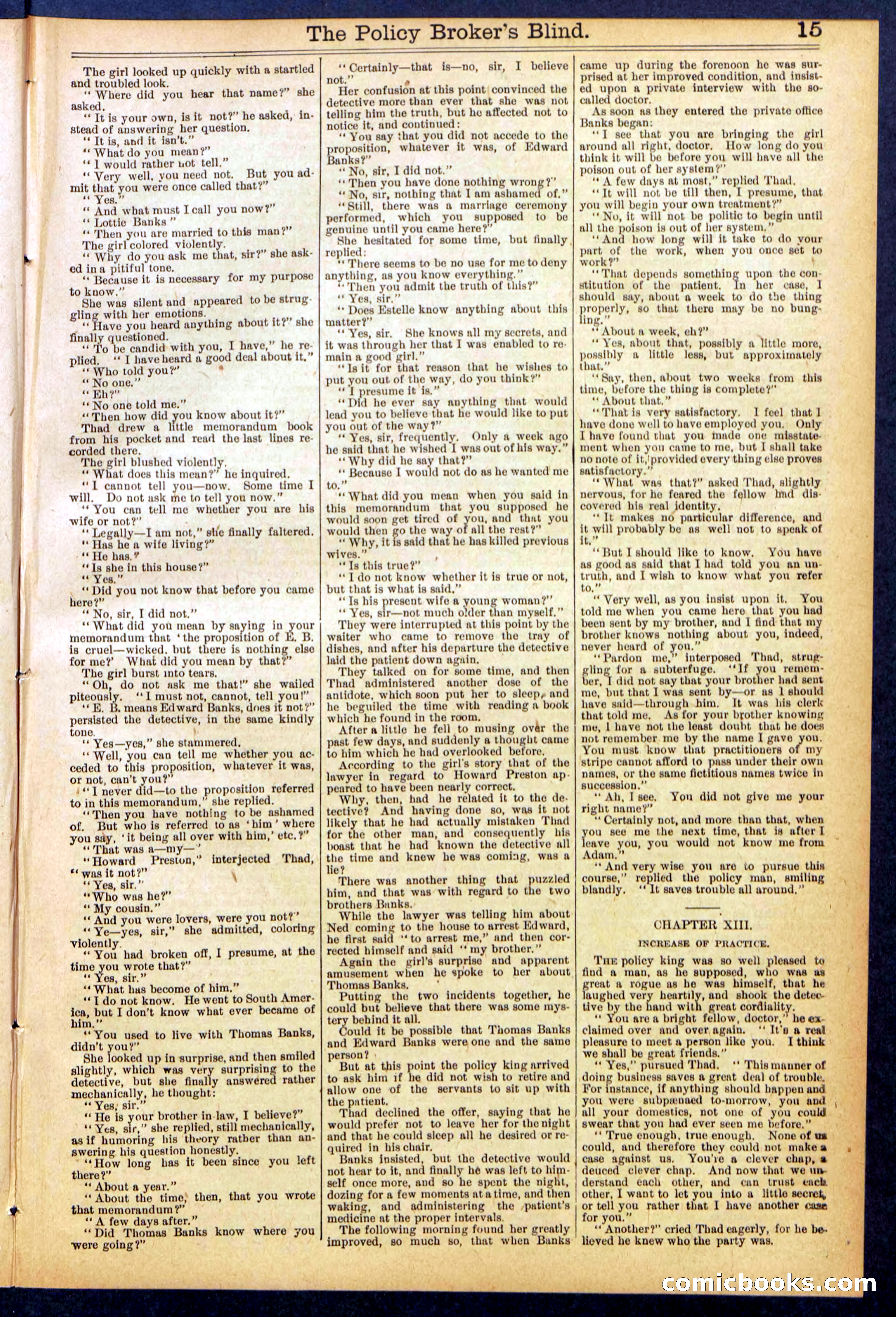 The Policy Broker's Blind; or, Detective Burr's Police Puzzle — page 15 of 32