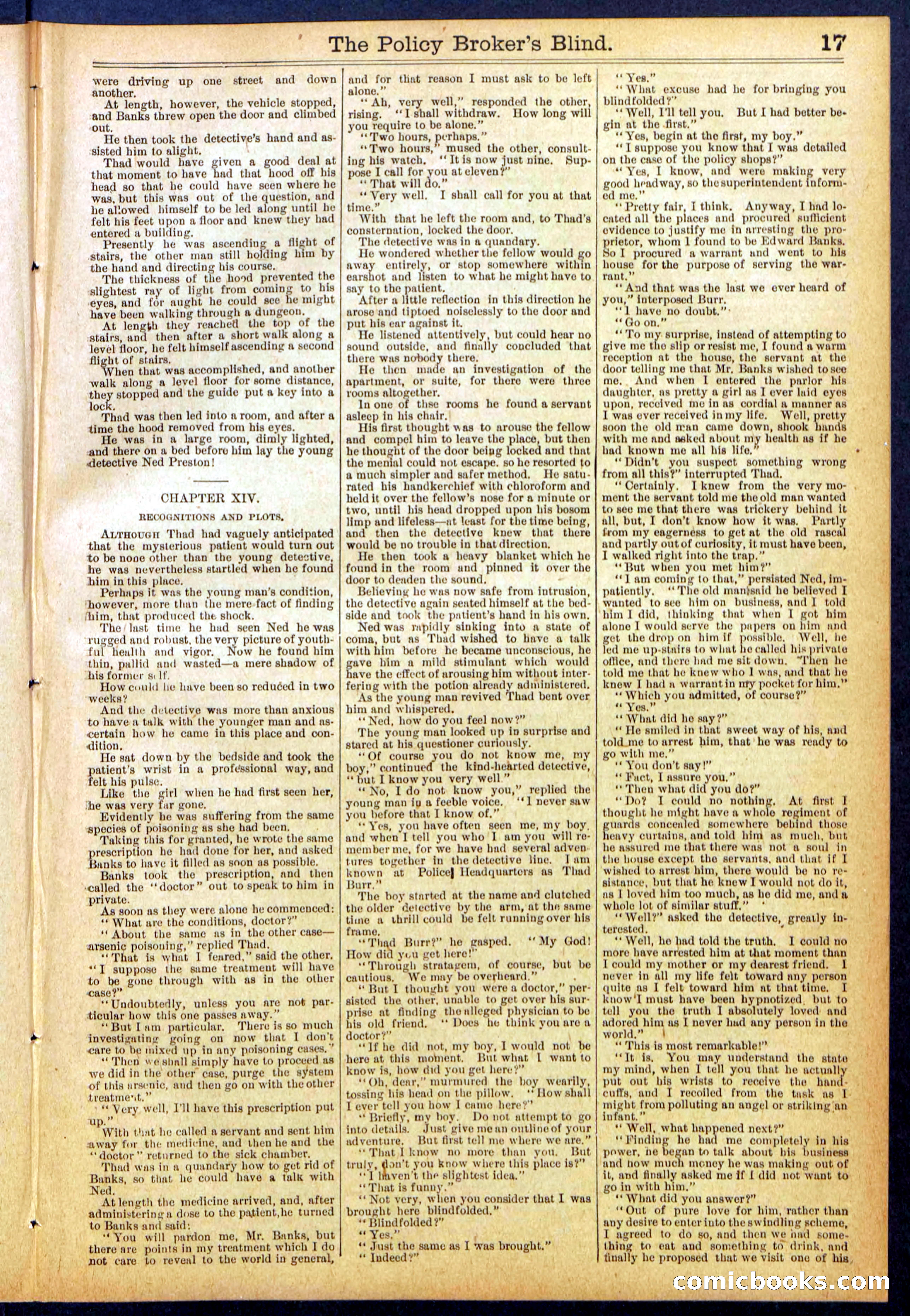 The Policy Broker's Blind; or, Detective Burr's Police Puzzle — page 17 of 32