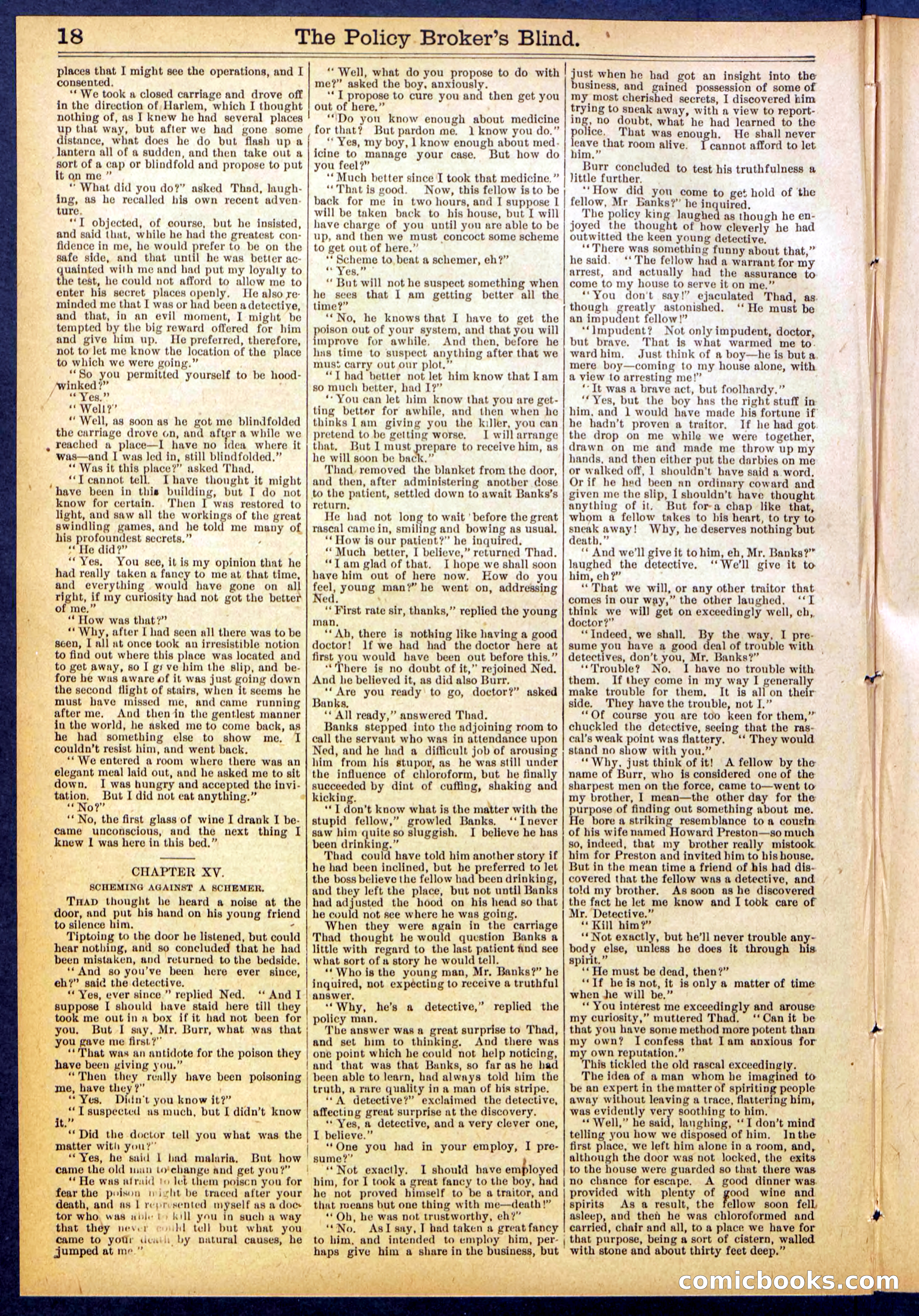 The Policy Broker's Blind; or, Detective Burr's Police Puzzle — page 18 of 32