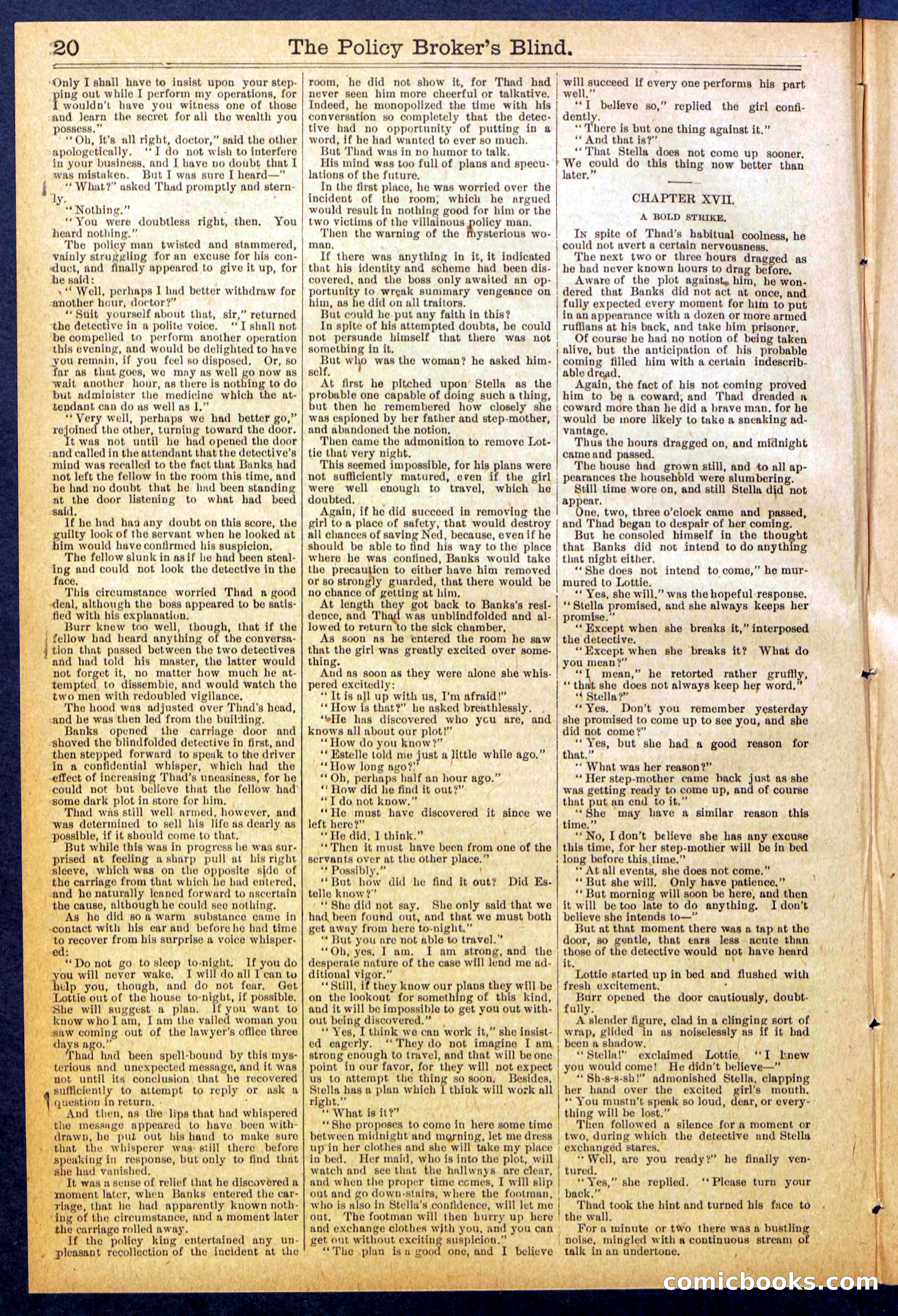 The Policy Broker's Blind; or, Detective Burr's Police Puzzle — page 20 of 32