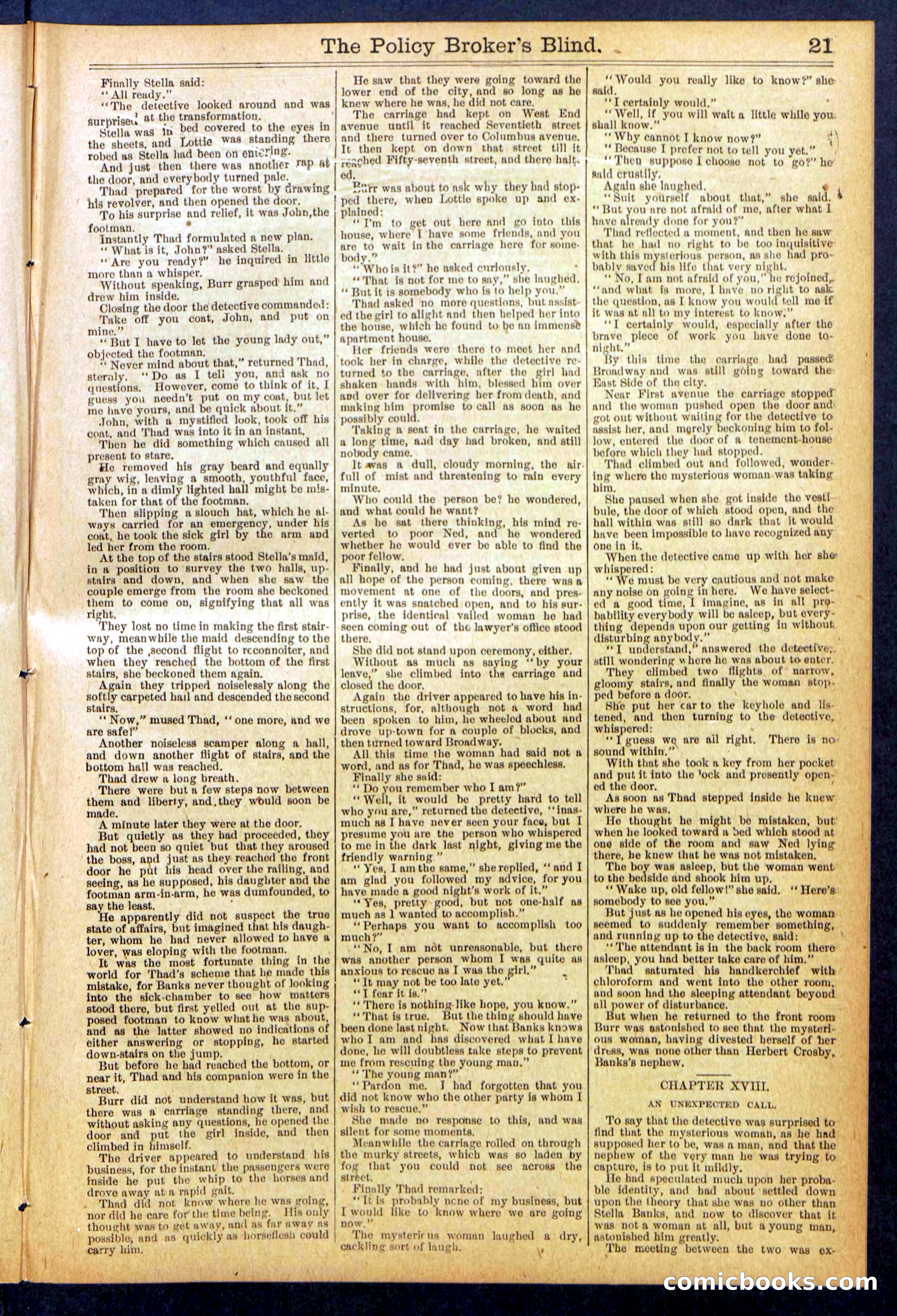 The Policy Broker's Blind; or, Detective Burr's Police Puzzle — page 21 of 32