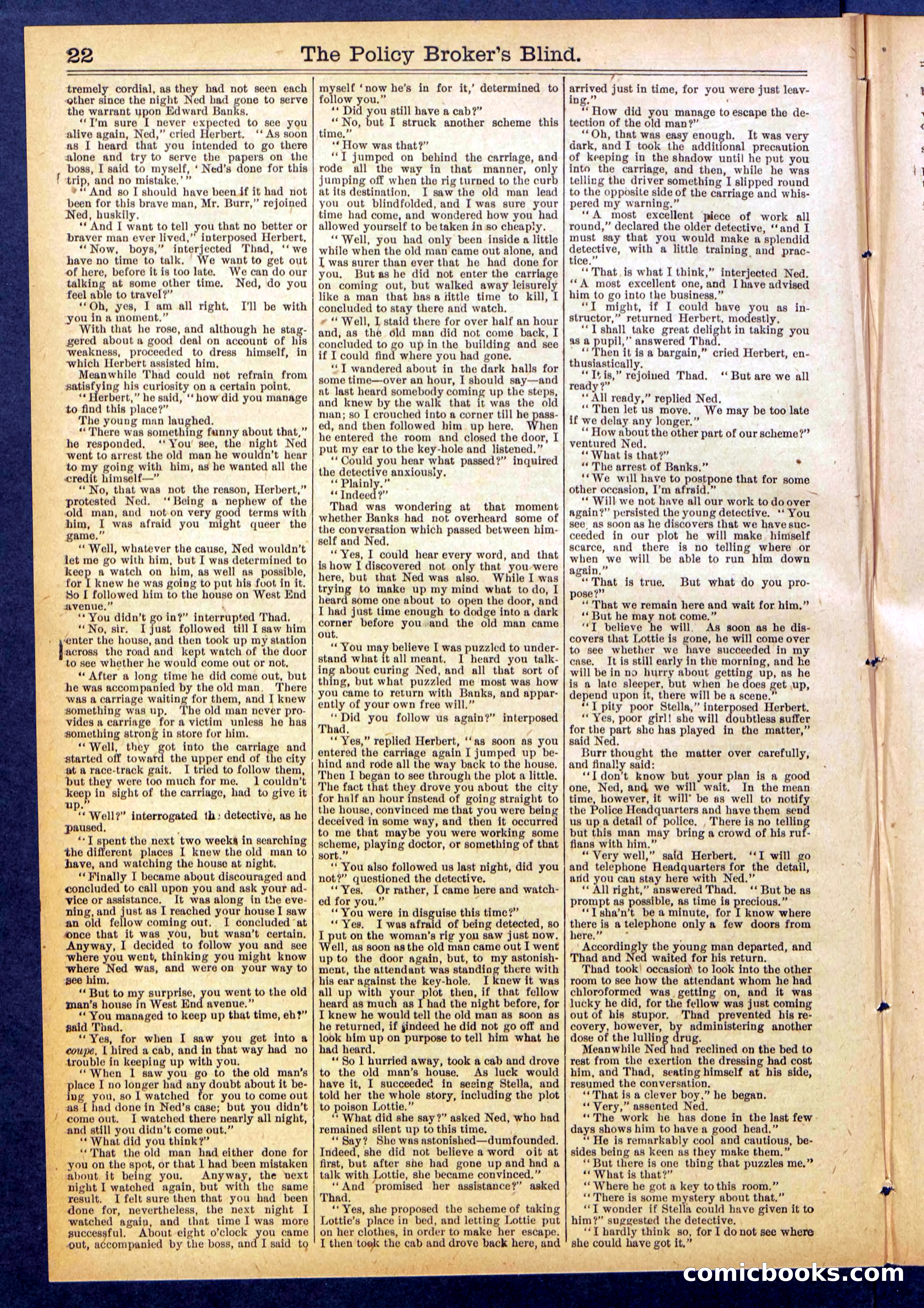 The Policy Broker's Blind; or, Detective Burr's Police Puzzle — page 22 of 32