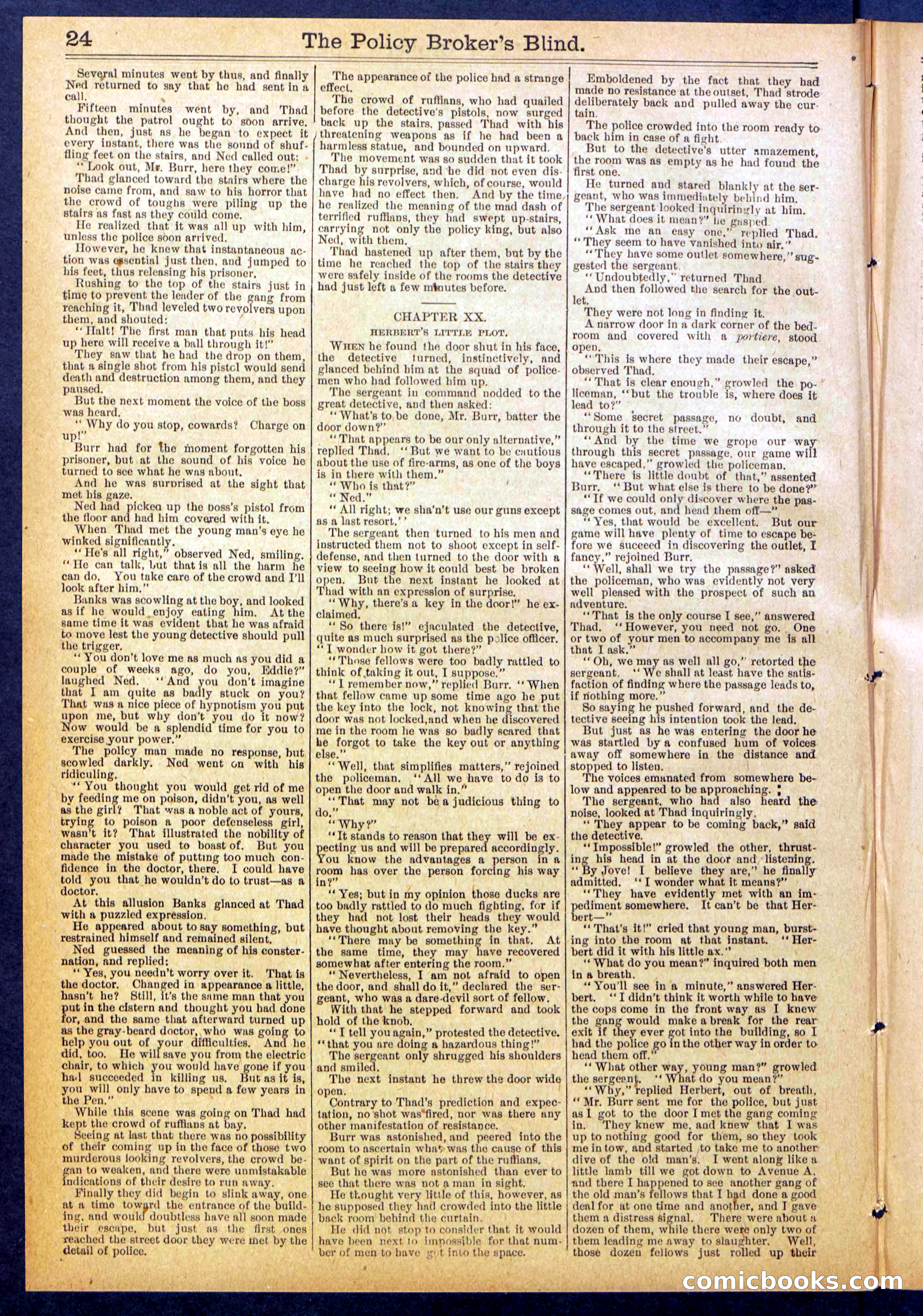 The Policy Broker's Blind; or, Detective Burr's Police Puzzle — page 24 of 32