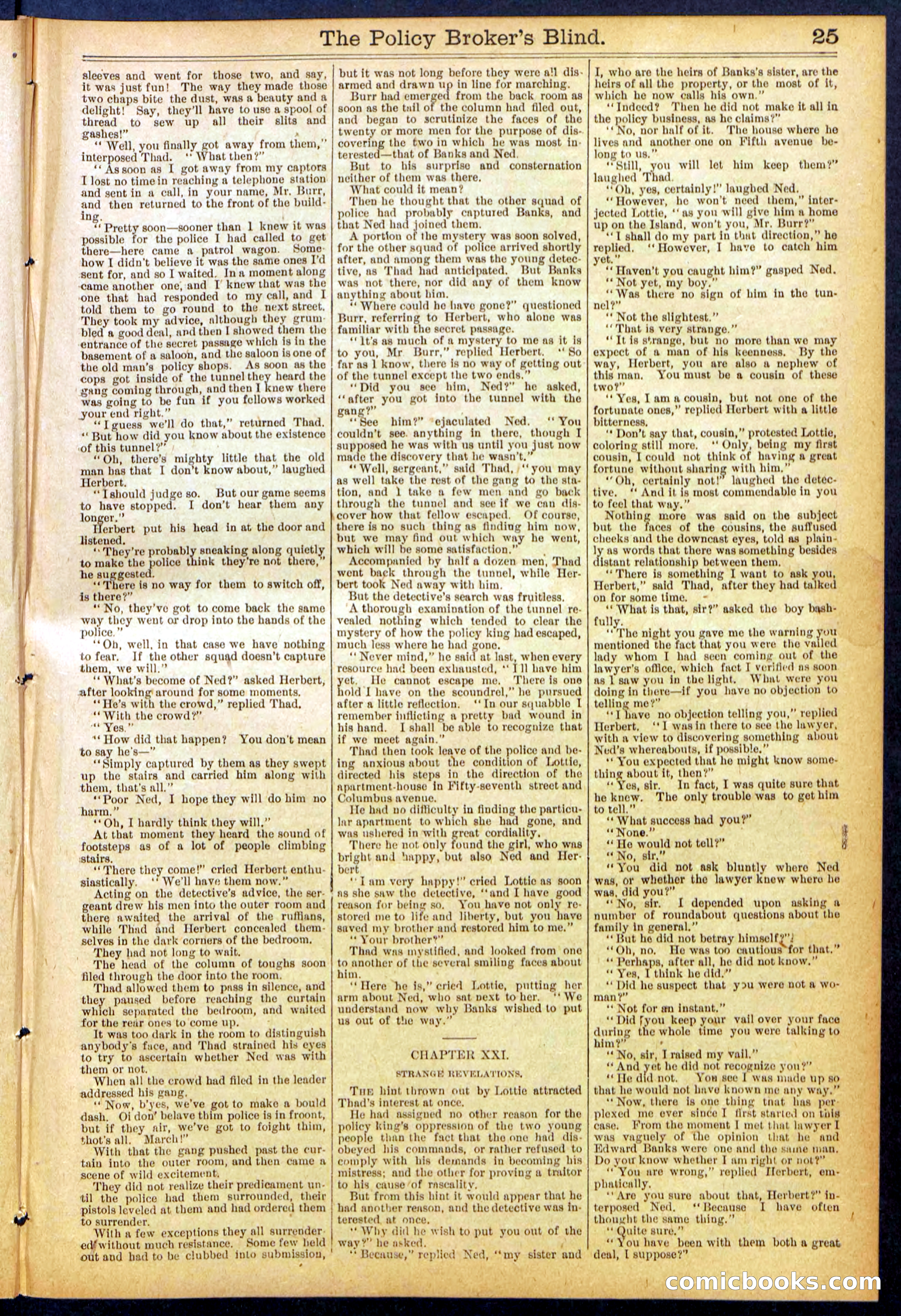 The Policy Broker's Blind; or, Detective Burr's Police Puzzle — page 25 of 32