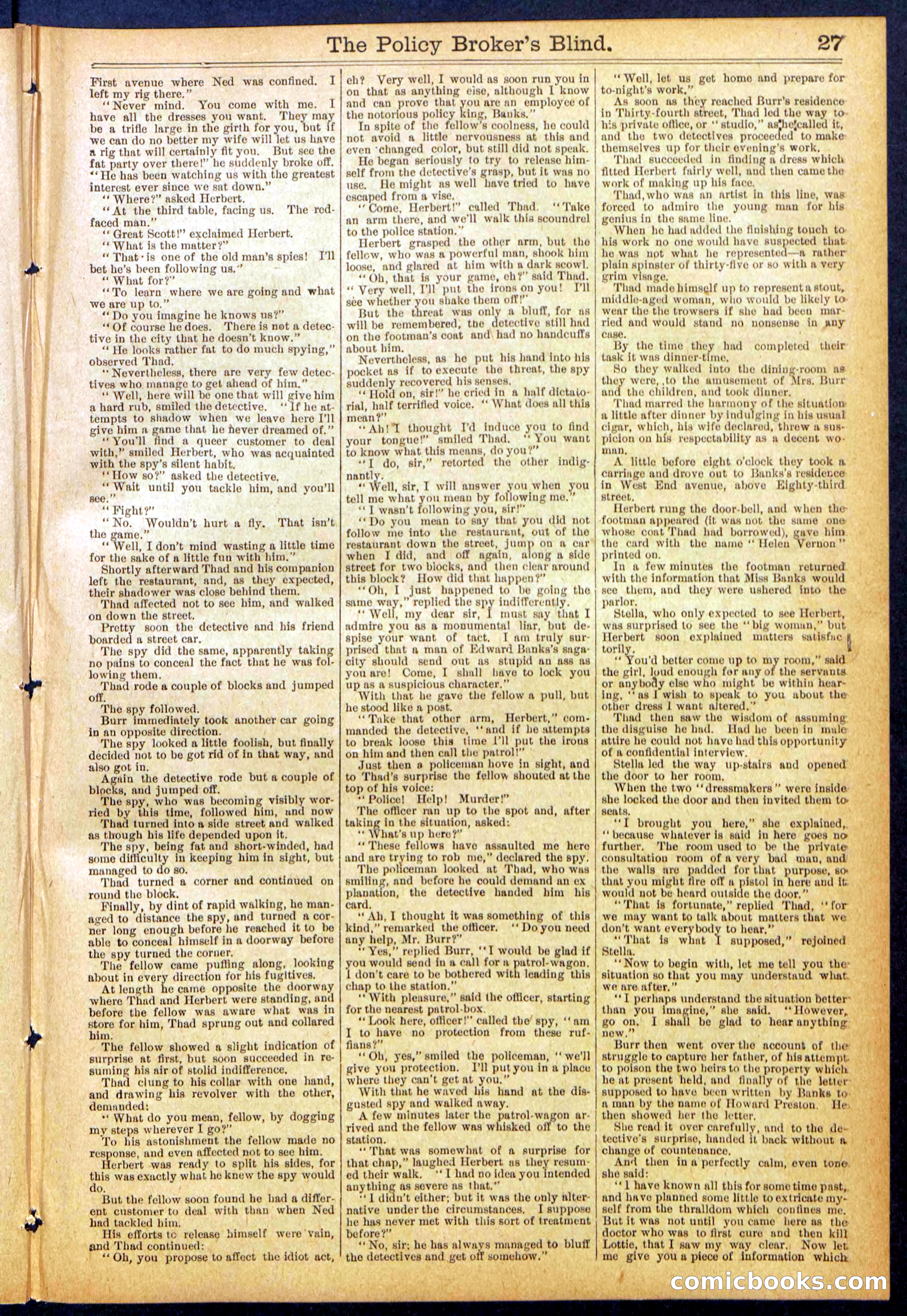 The Policy Broker's Blind; or, Detective Burr's Police Puzzle — page 27 of 32