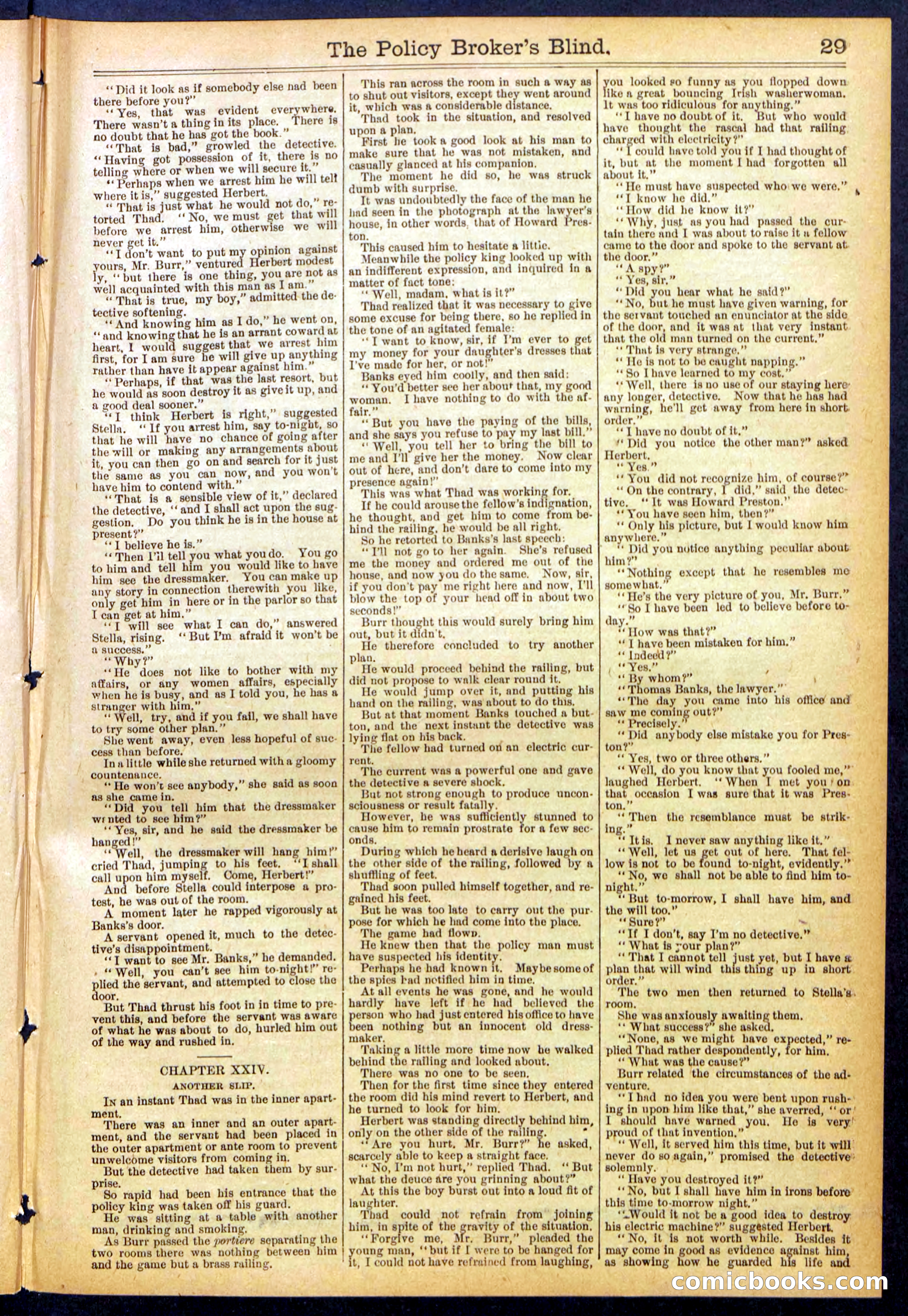 The Policy Broker's Blind; or, Detective Burr's Police Puzzle — page 29 of 32