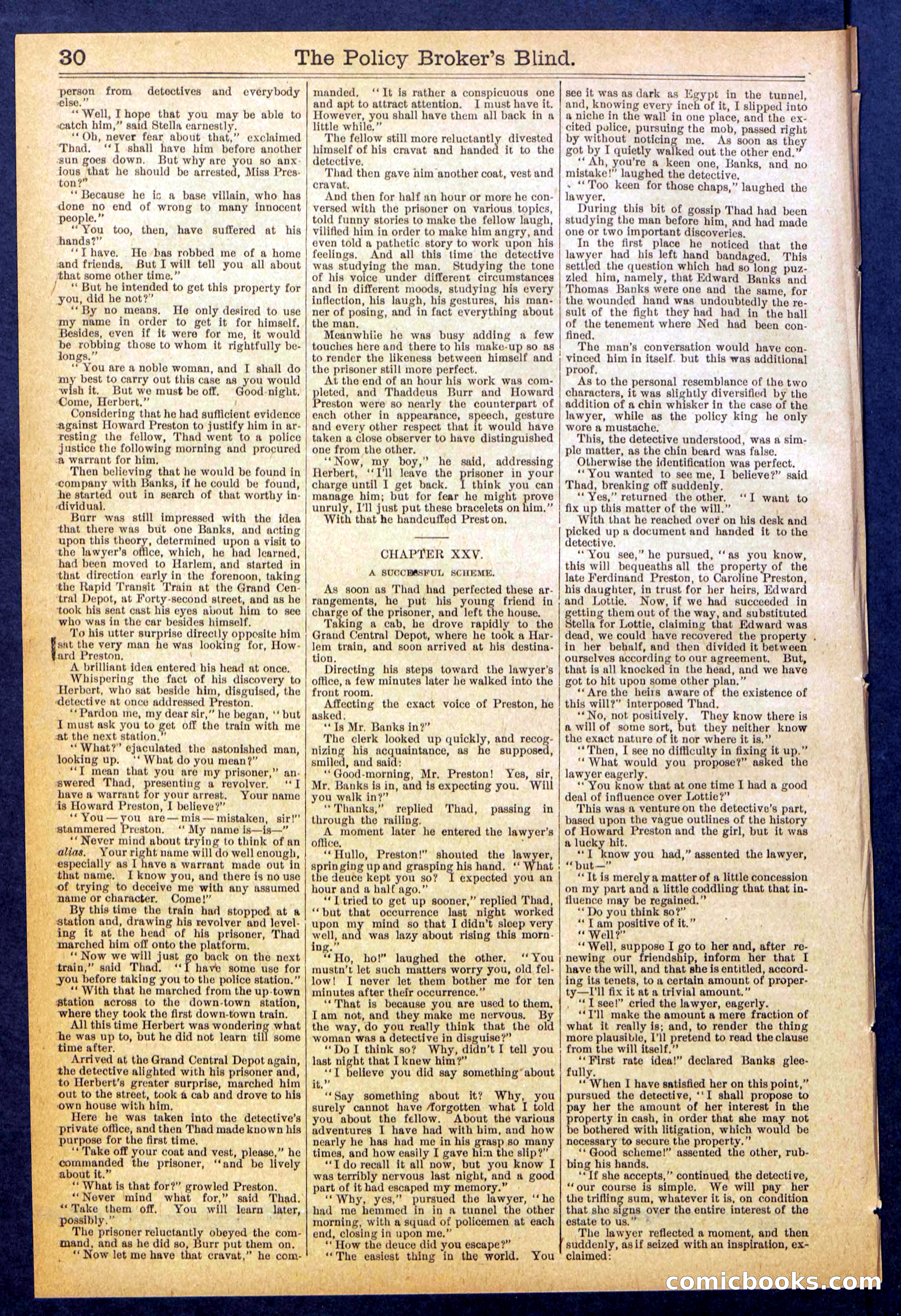 The Policy Broker's Blind; or, Detective Burr's Police Puzzle — page 30 of 32