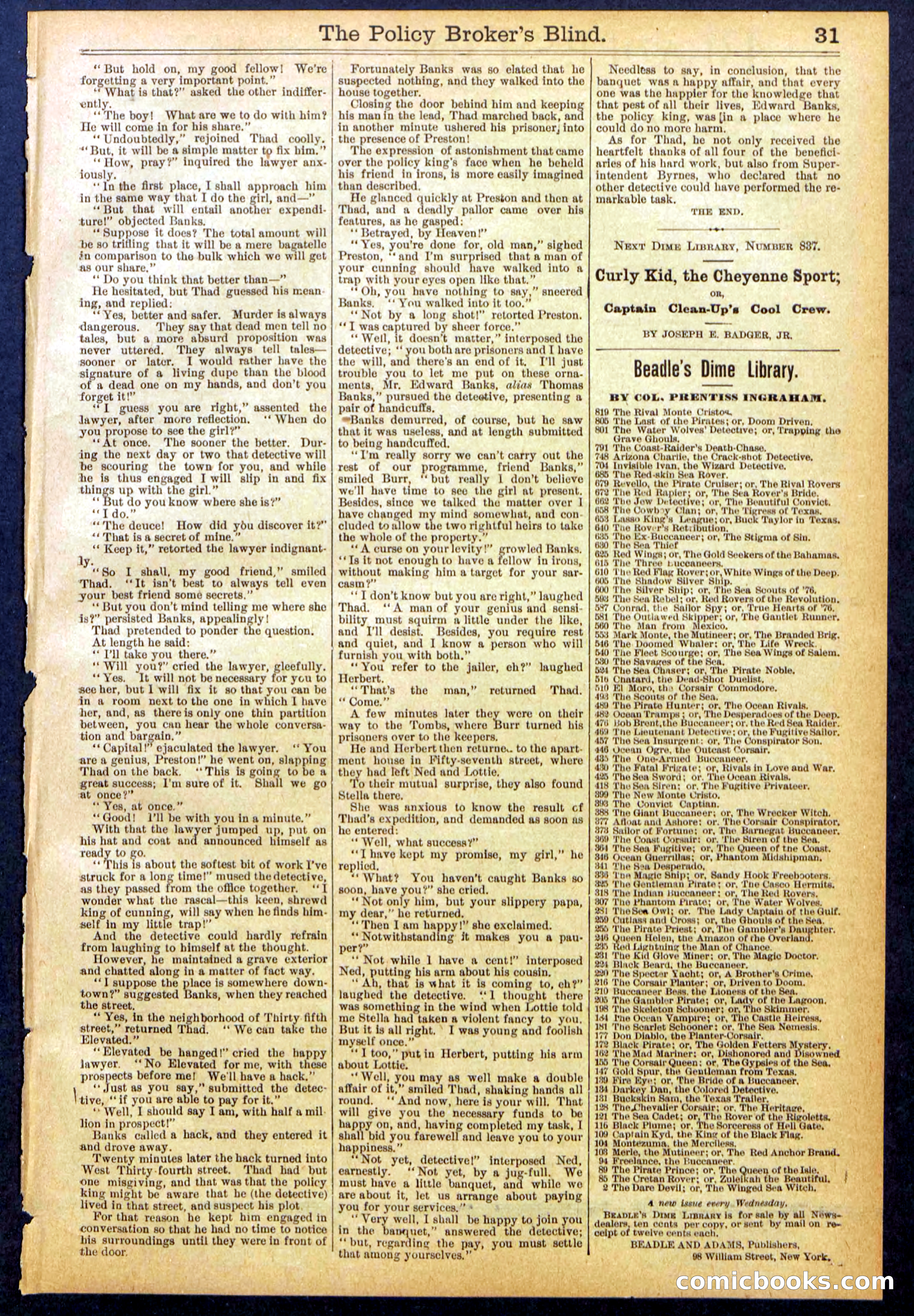 The Policy Broker's Blind; or, Detective Burr's Police Puzzle — page 31 of 32