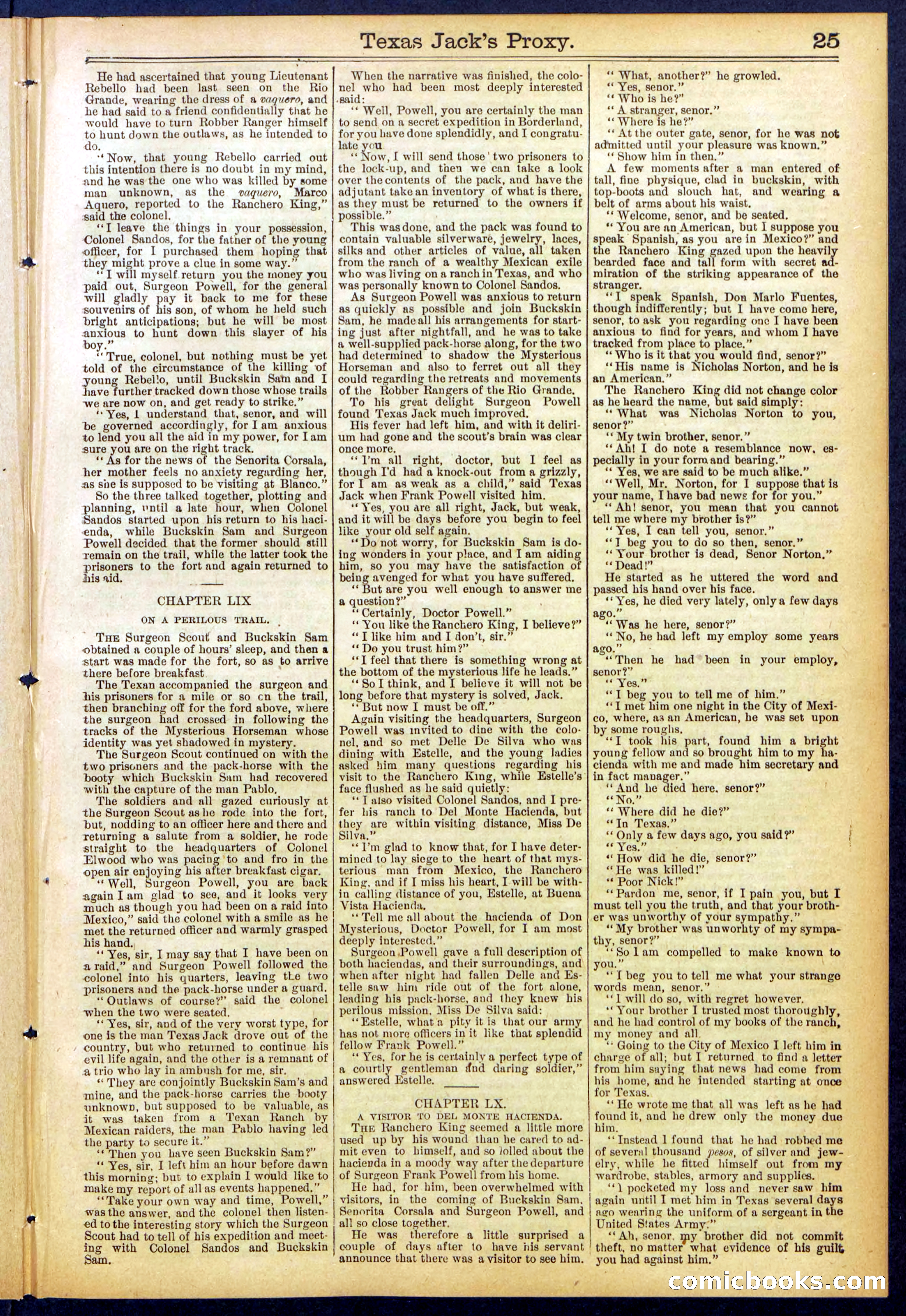 The Ranch King Dead-Shot; or, Texas Jack's Proxy — page 25 of 32