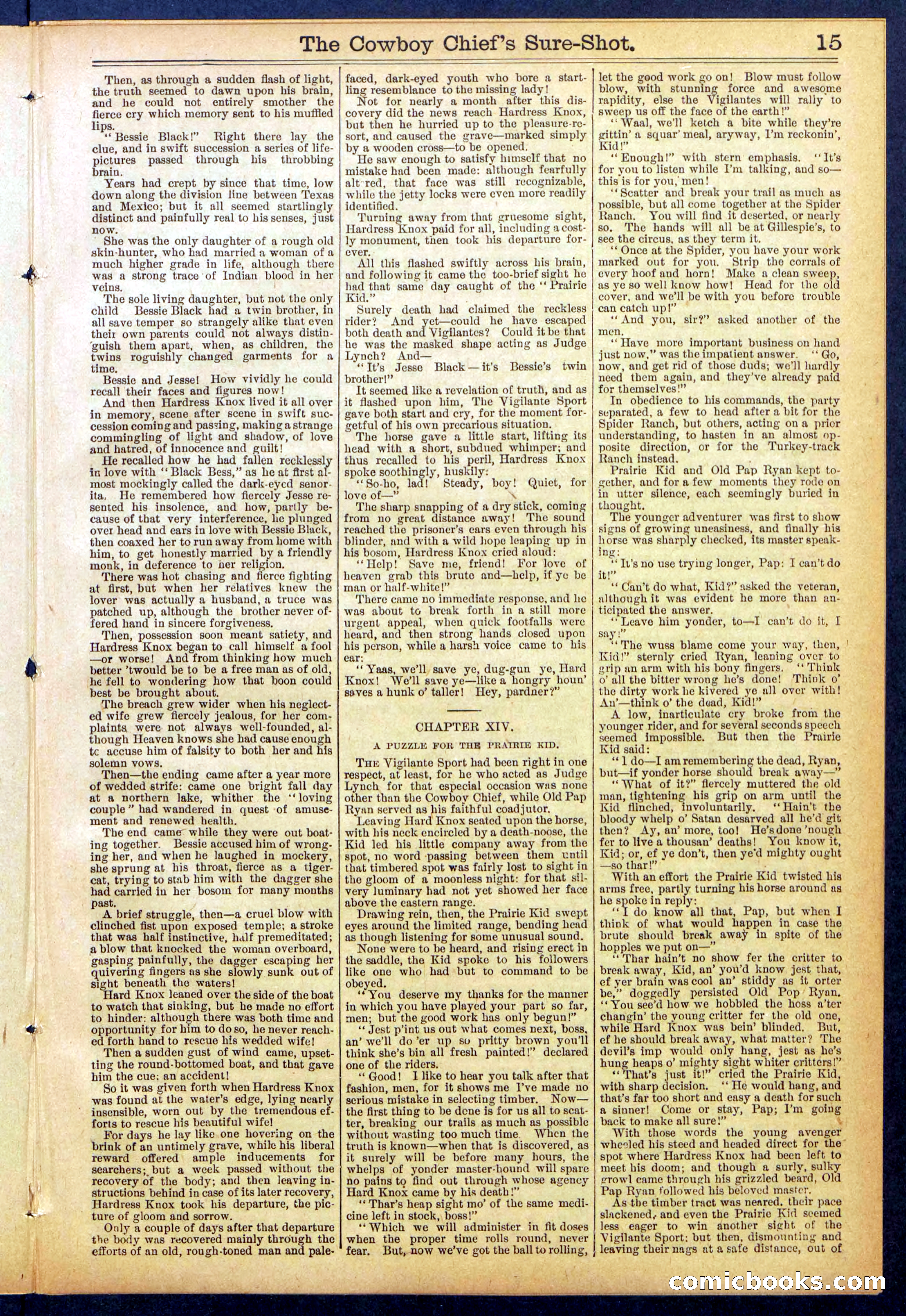 Beadle's Dime Library No. 855 — page 15 of 32