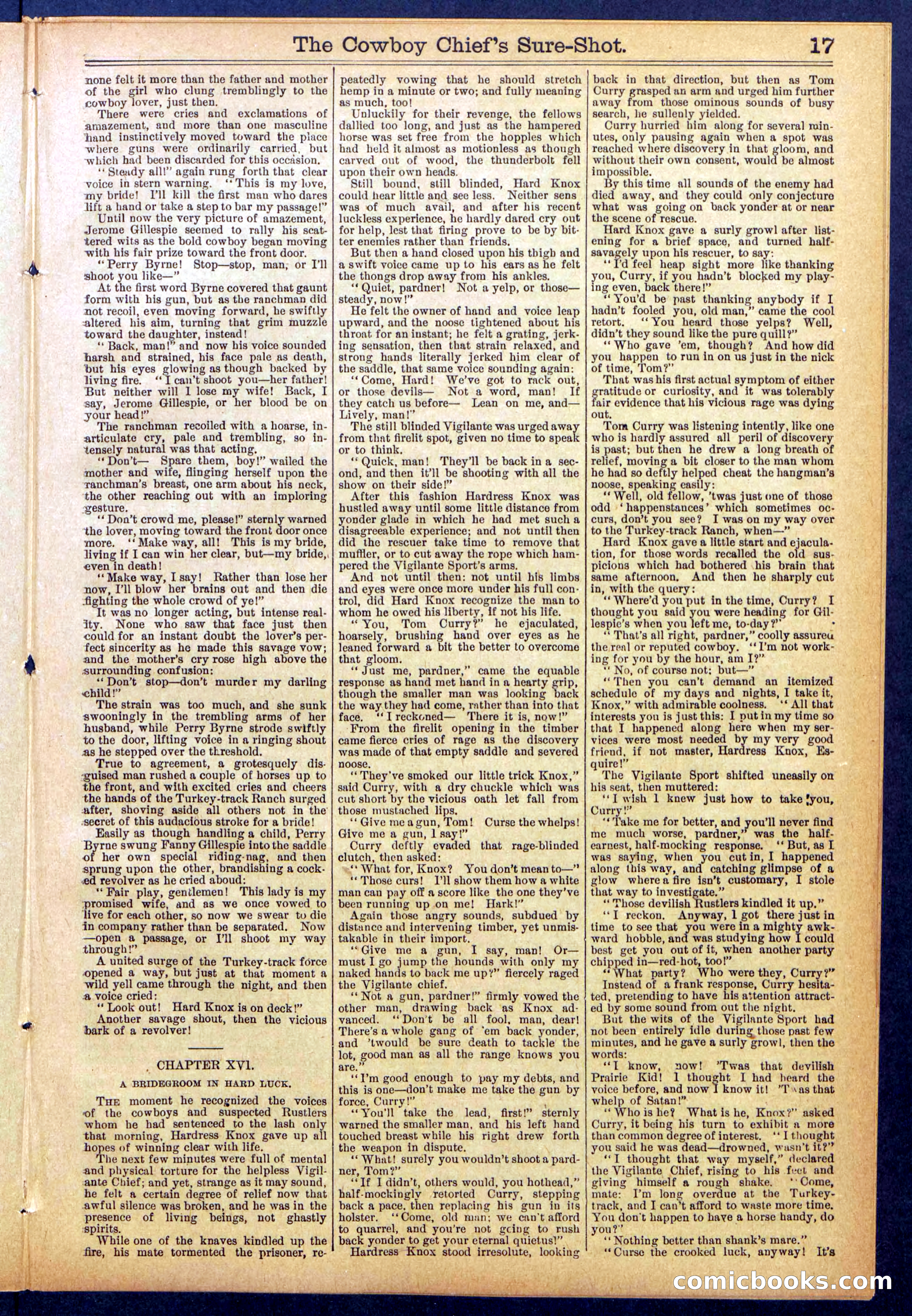 Beadle's Dime Library No. 855 — page 17 of 32