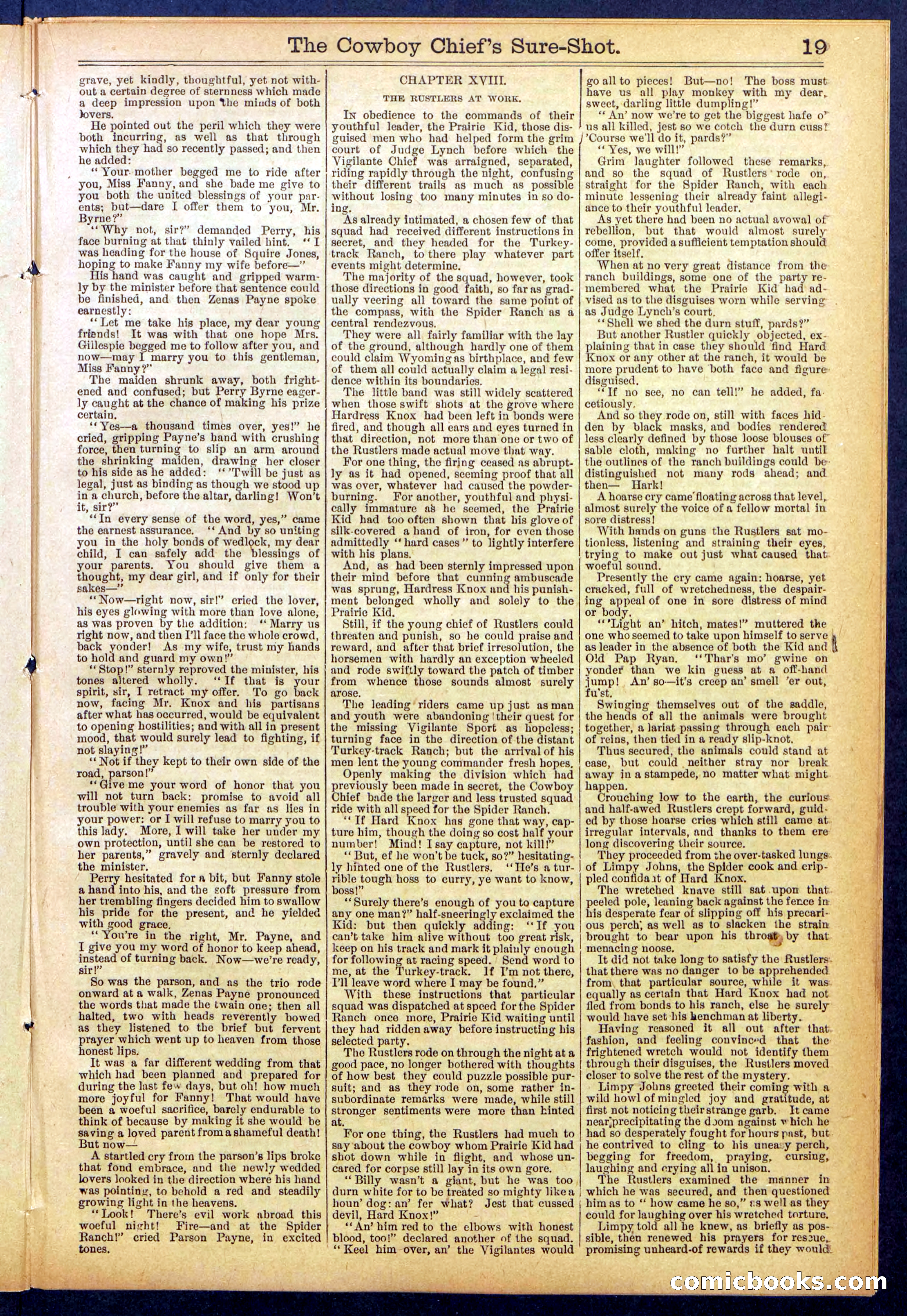 Beadle's Dime Library No. 855 — page 19 of 32