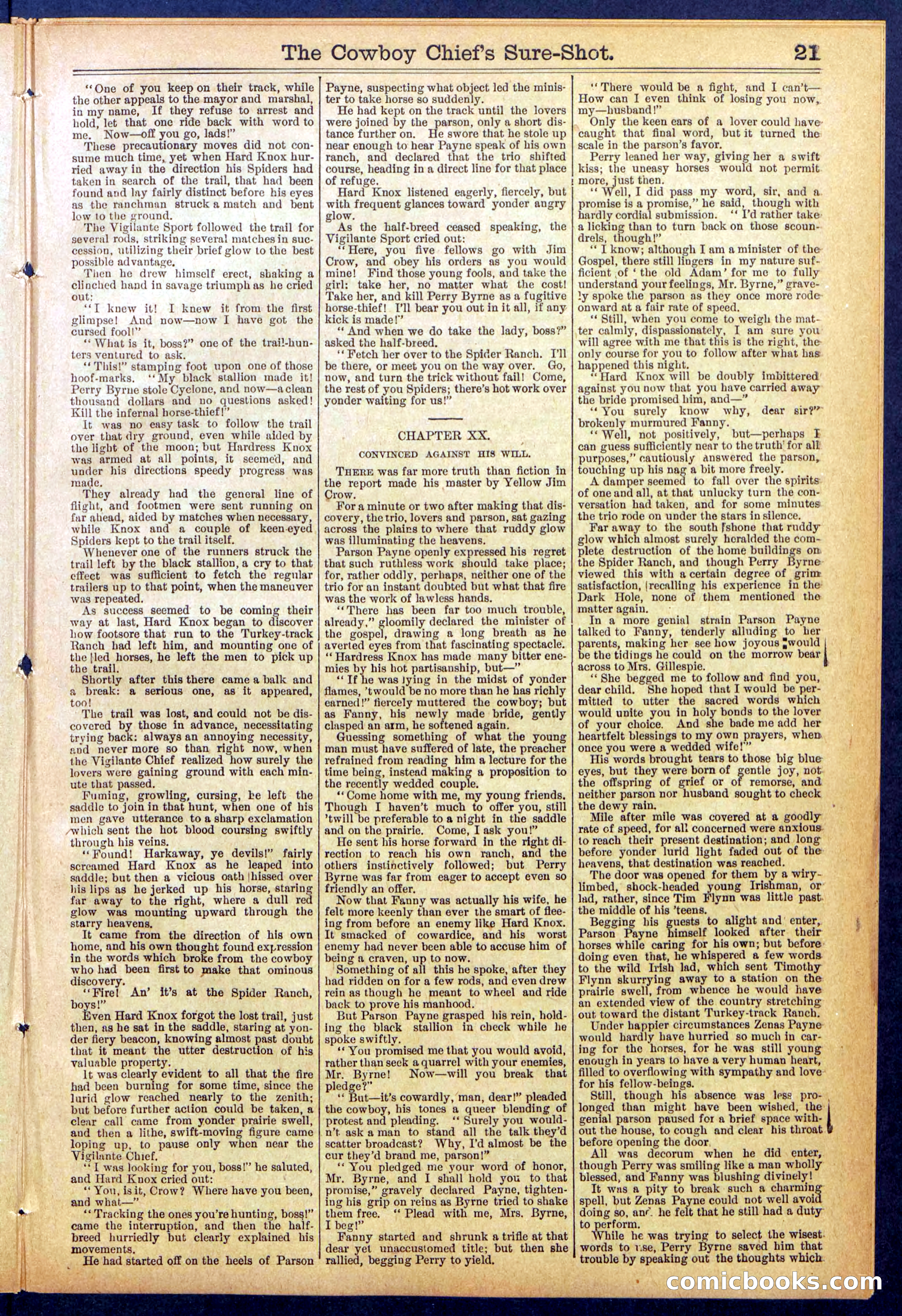 Beadle's Dime Library No. 855 — page 21 of 32