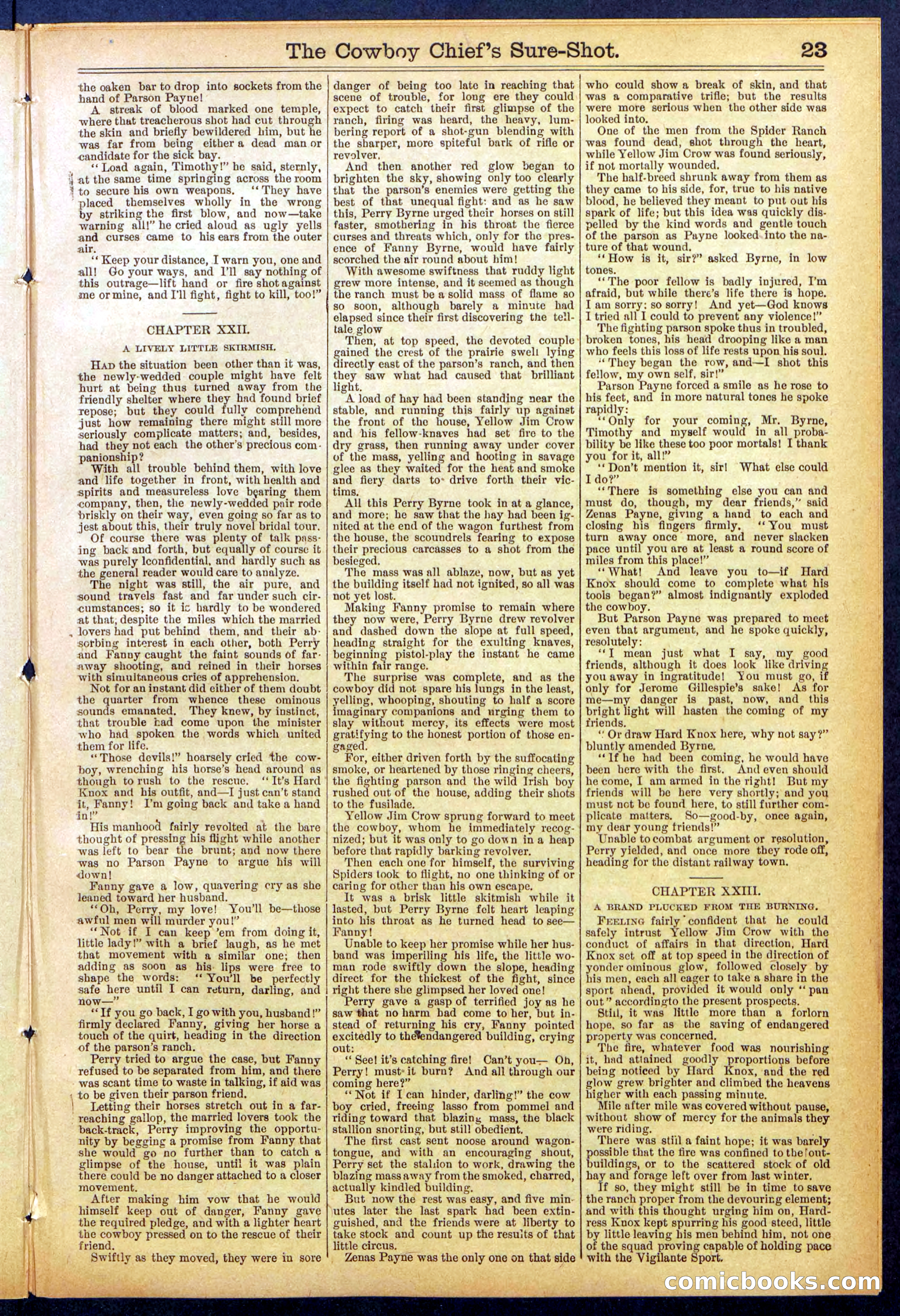 Beadle's Dime Library No. 855 — page 23 of 32