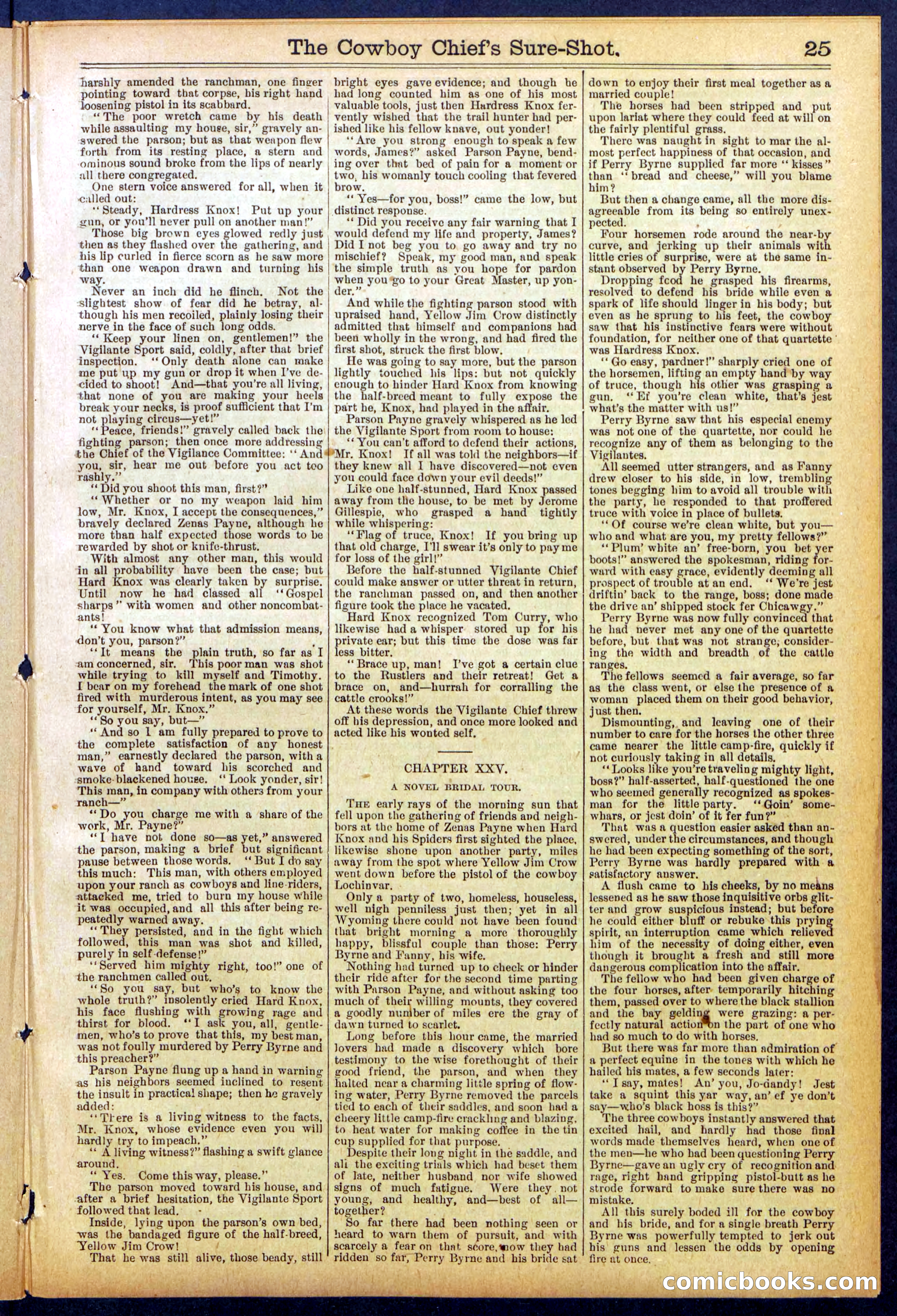 Beadle's Dime Library No. 855 — page 25 of 32