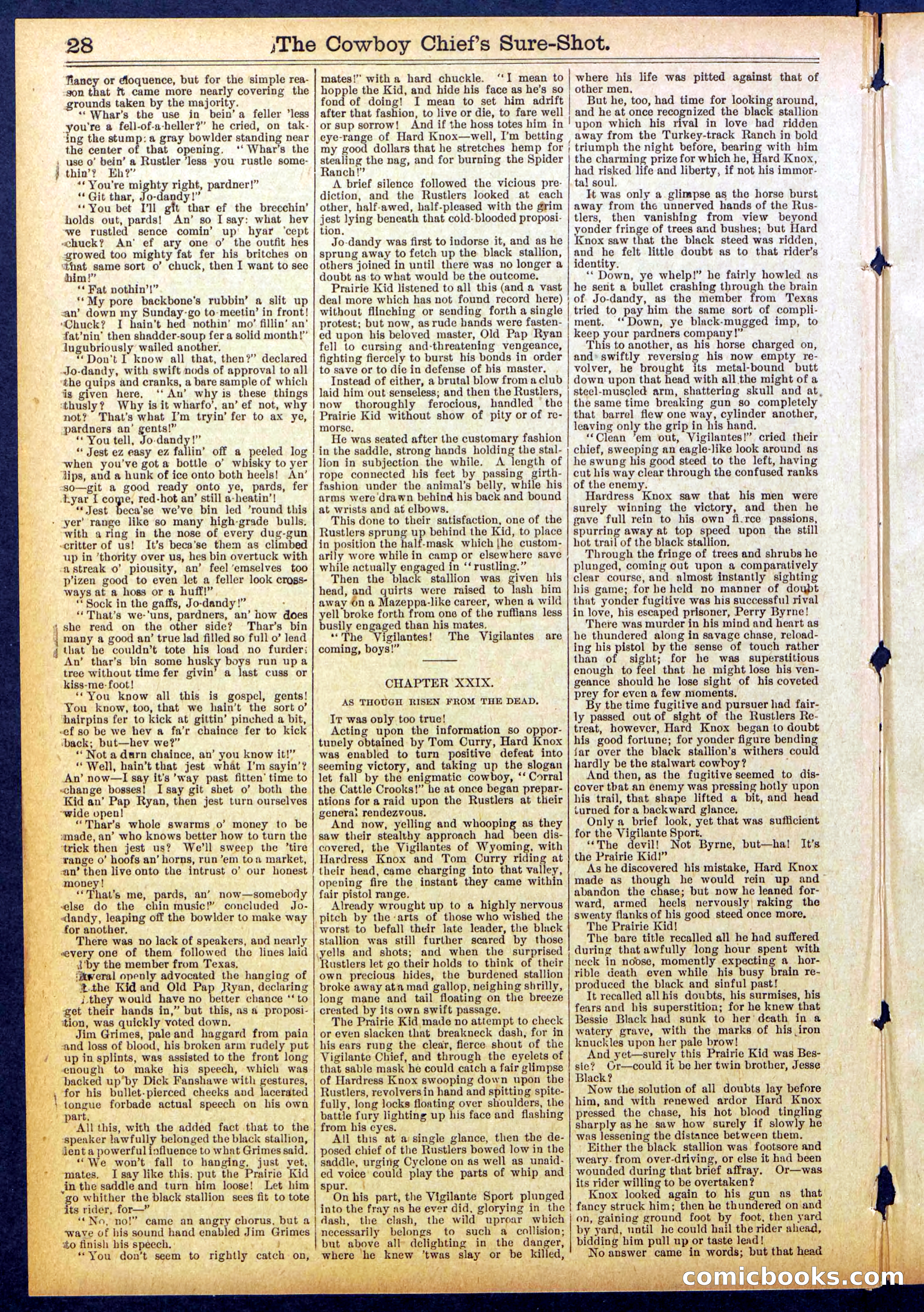 Beadle's Dime Library No. 855 — page 28 of 32