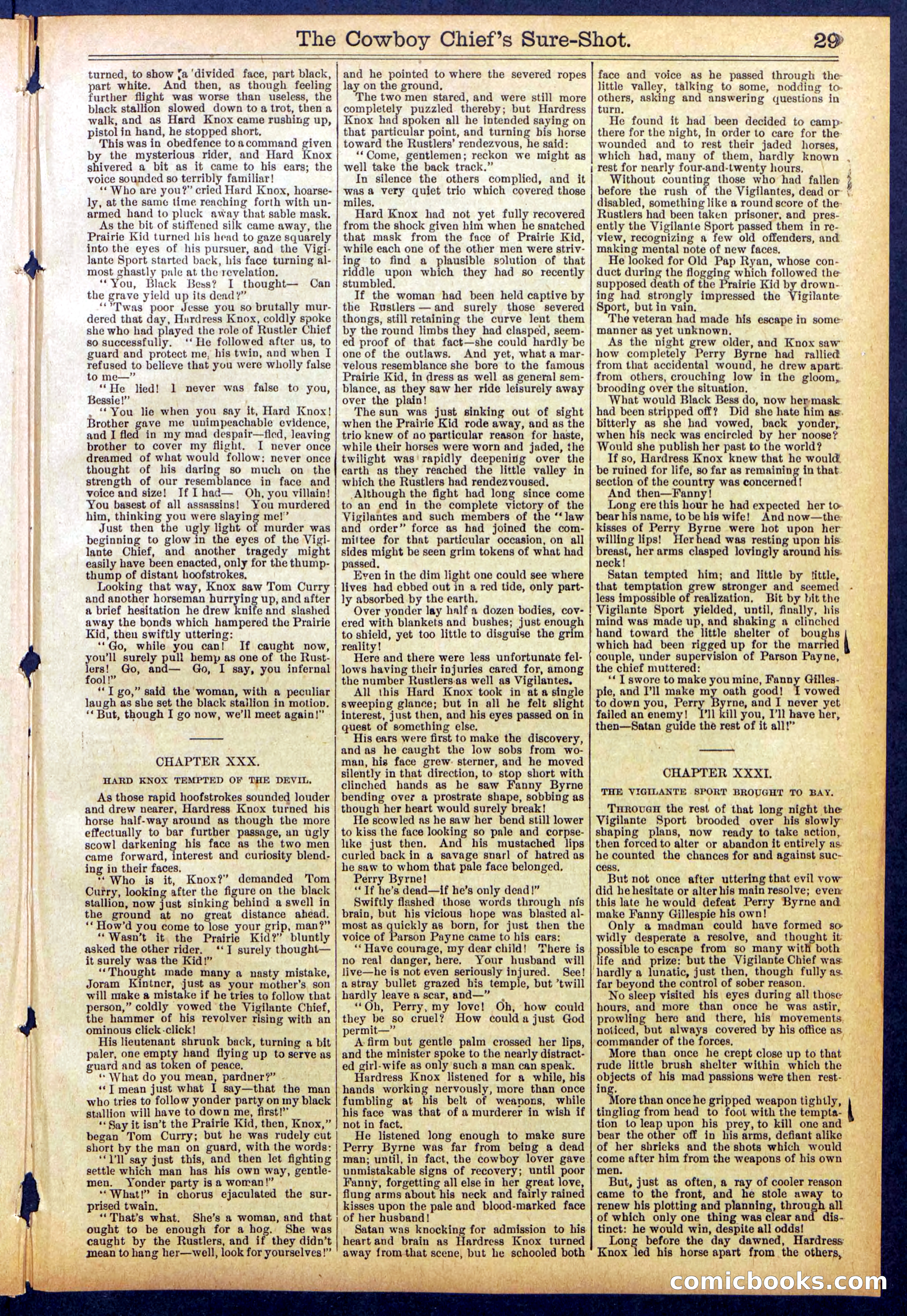 Beadle's Dime Library No. 855 — page 29 of 32
