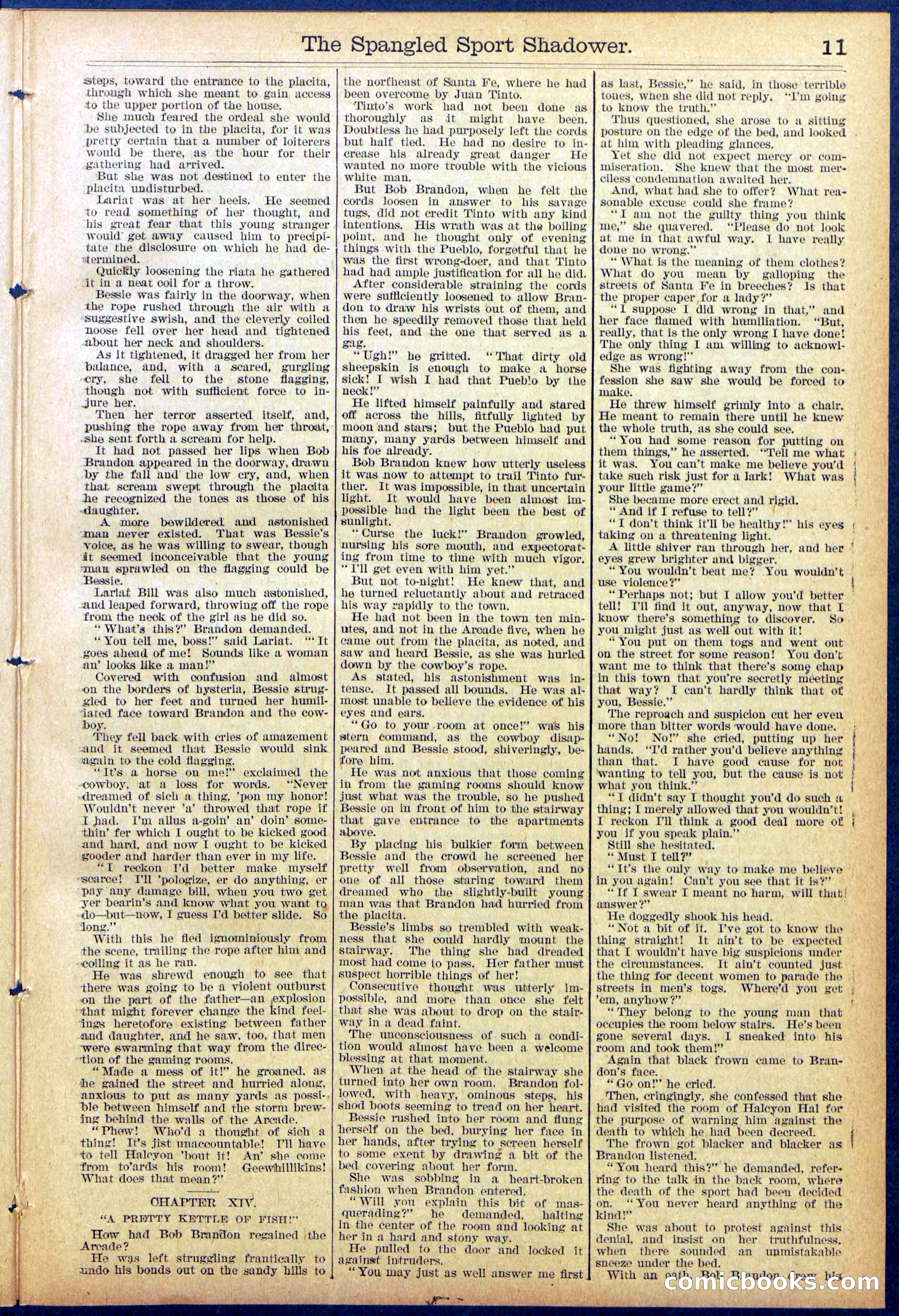 Beadle's Dime New York Library No. 860 — page 11 of 32