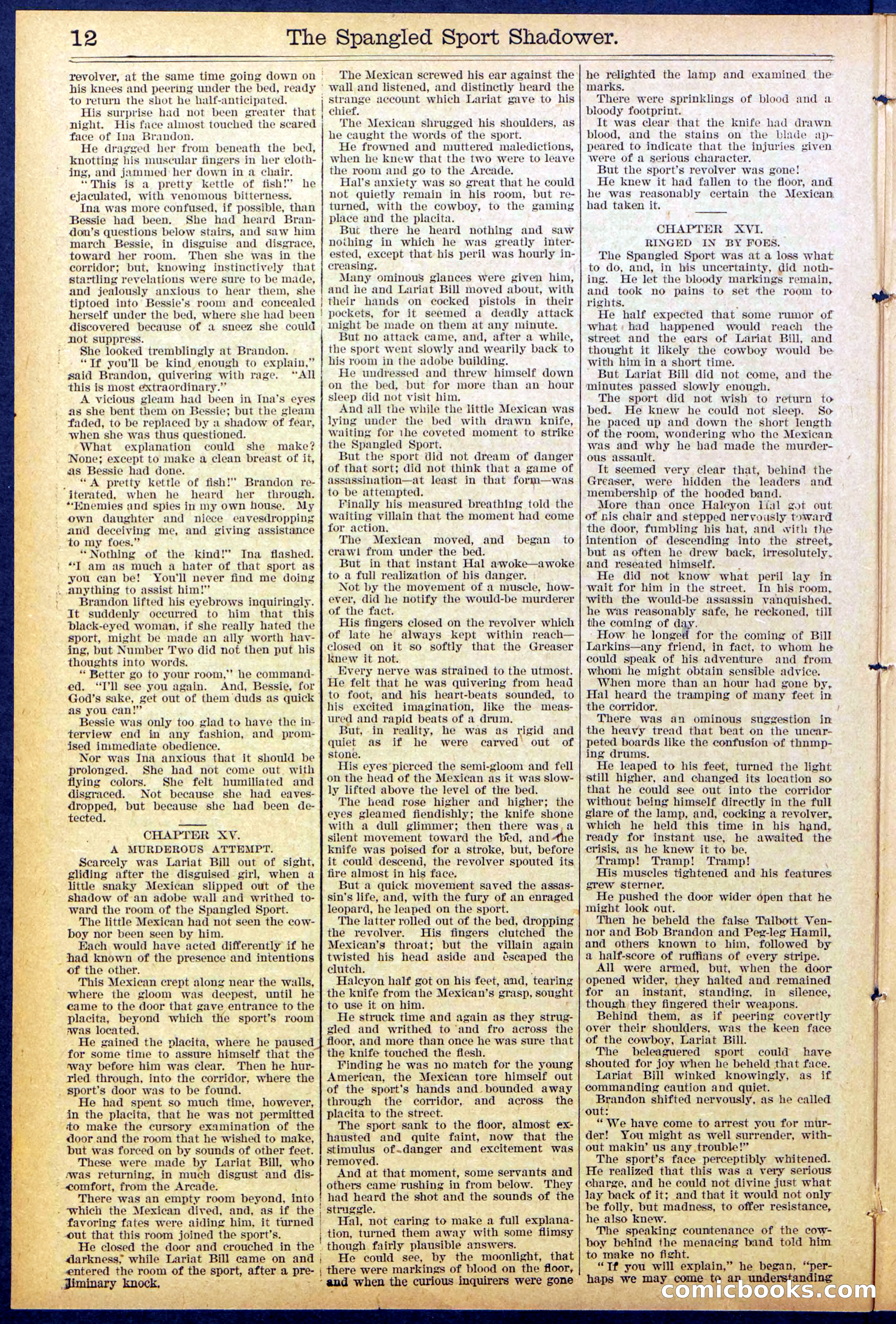 Beadle's Dime New York Library No. 860 — page 12 of 32