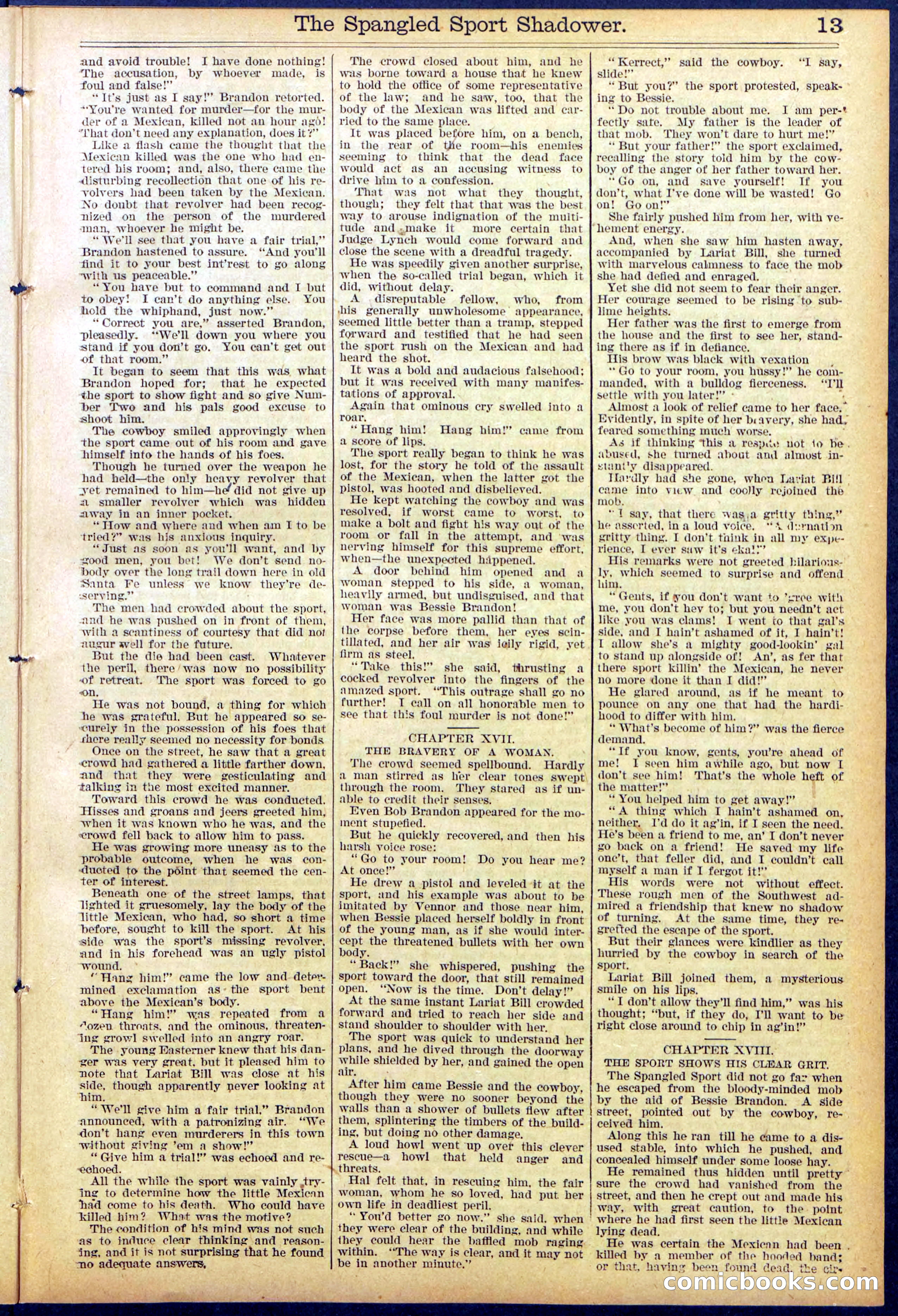 Beadle's Dime New York Library No. 860 — page 13 of 32