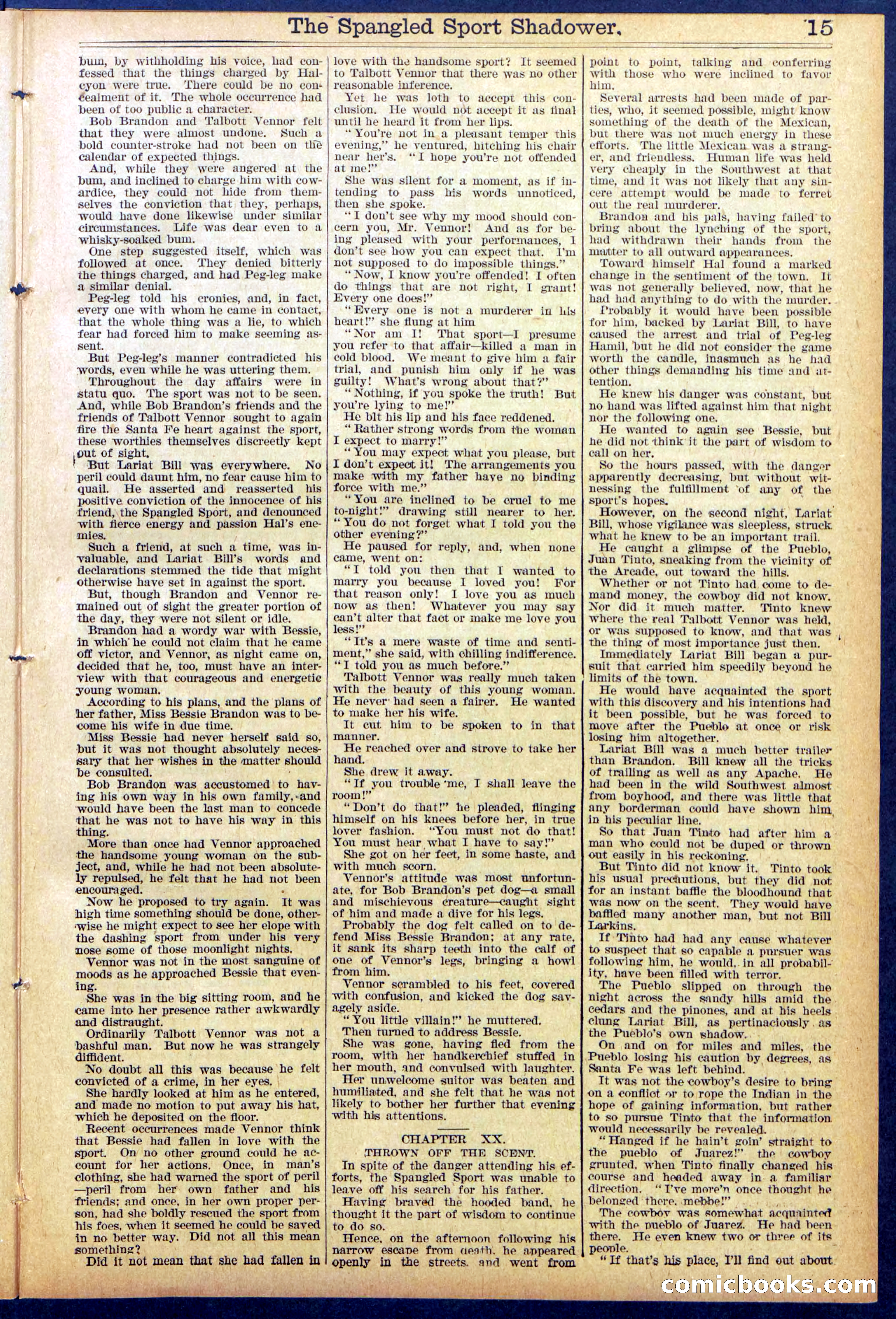 Beadle's Dime New York Library No. 860 — page 15 of 32