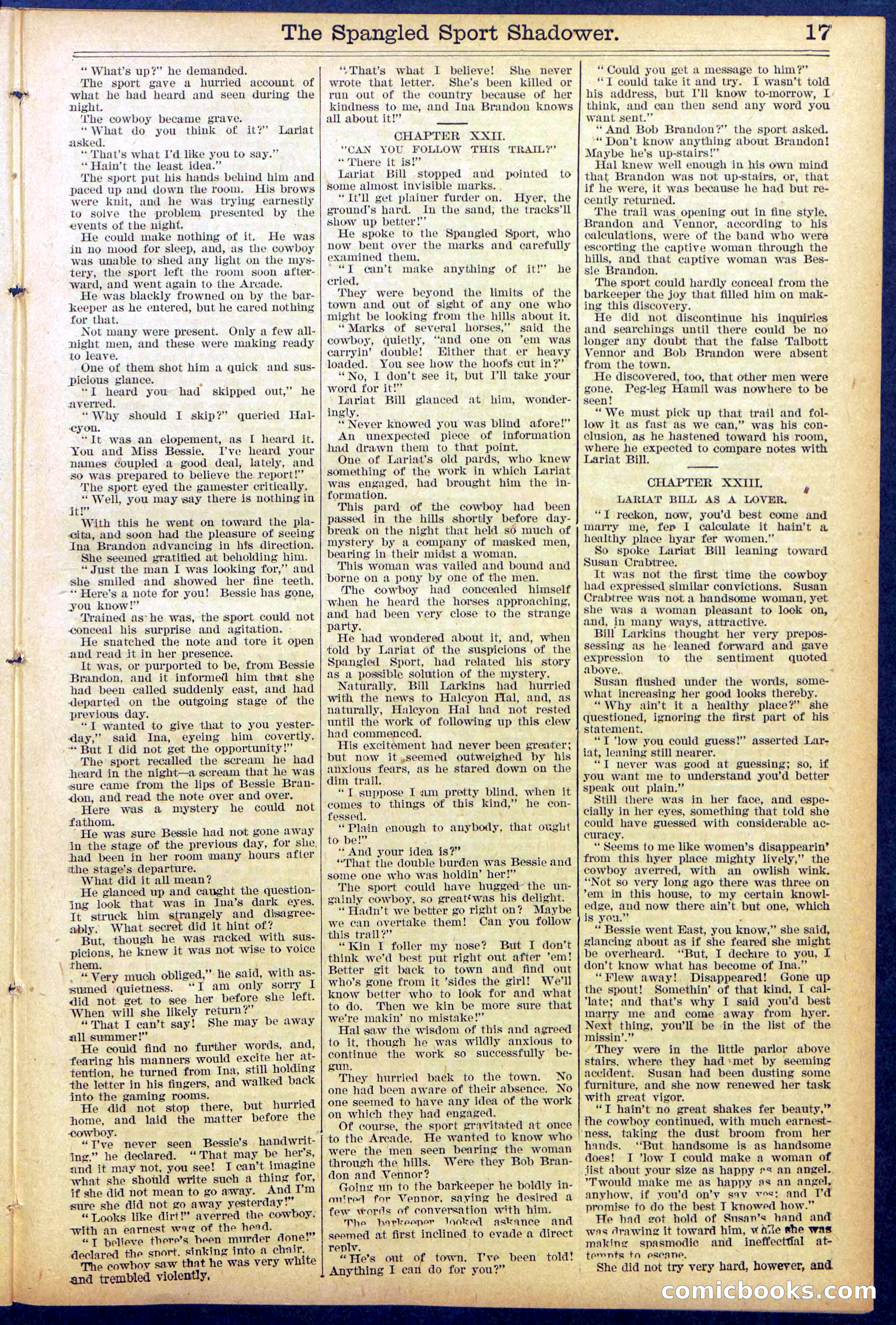Beadle's Dime New York Library No. 860 — page 17 of 32