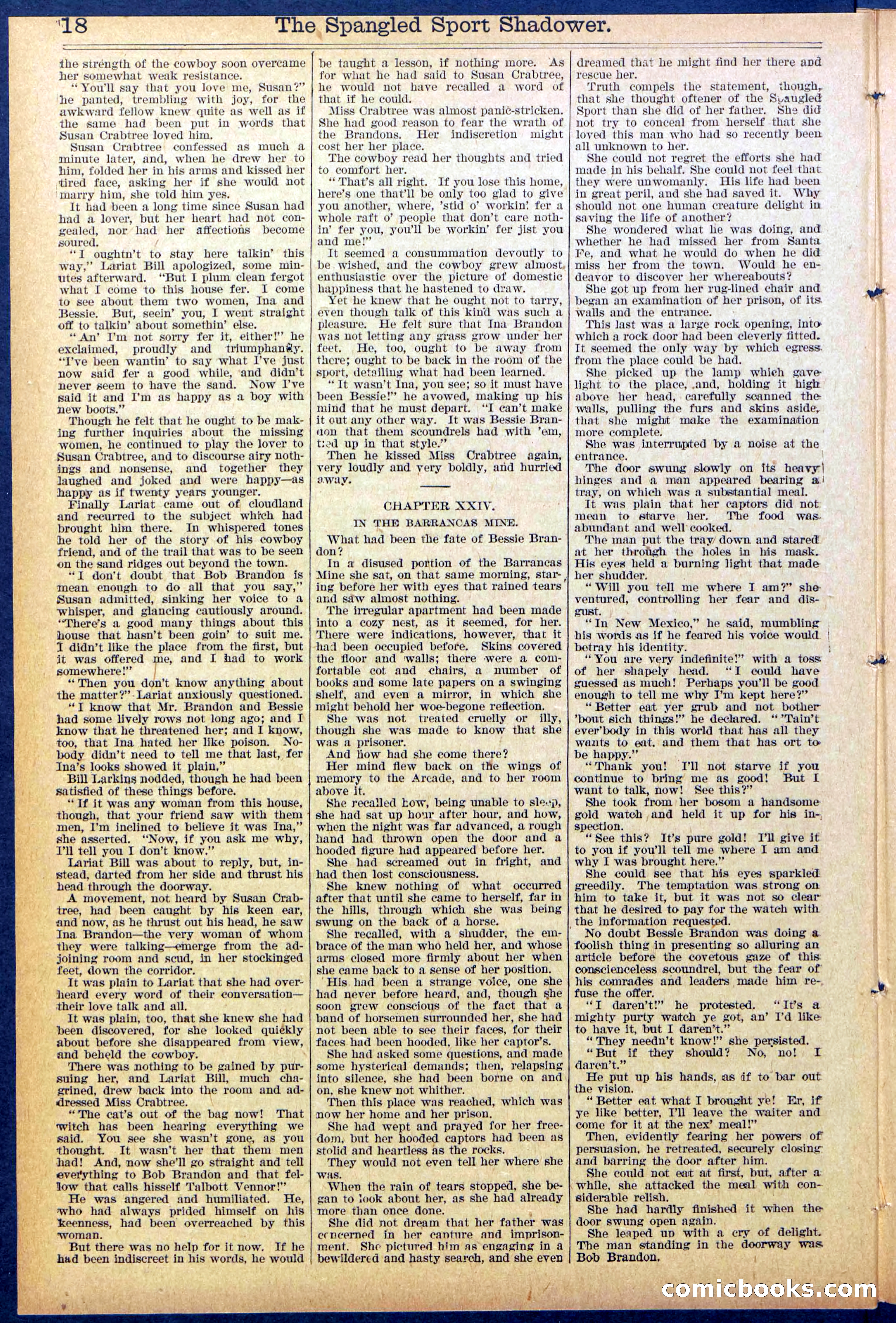 Beadle's Dime New York Library No. 860 — page 18 of 32