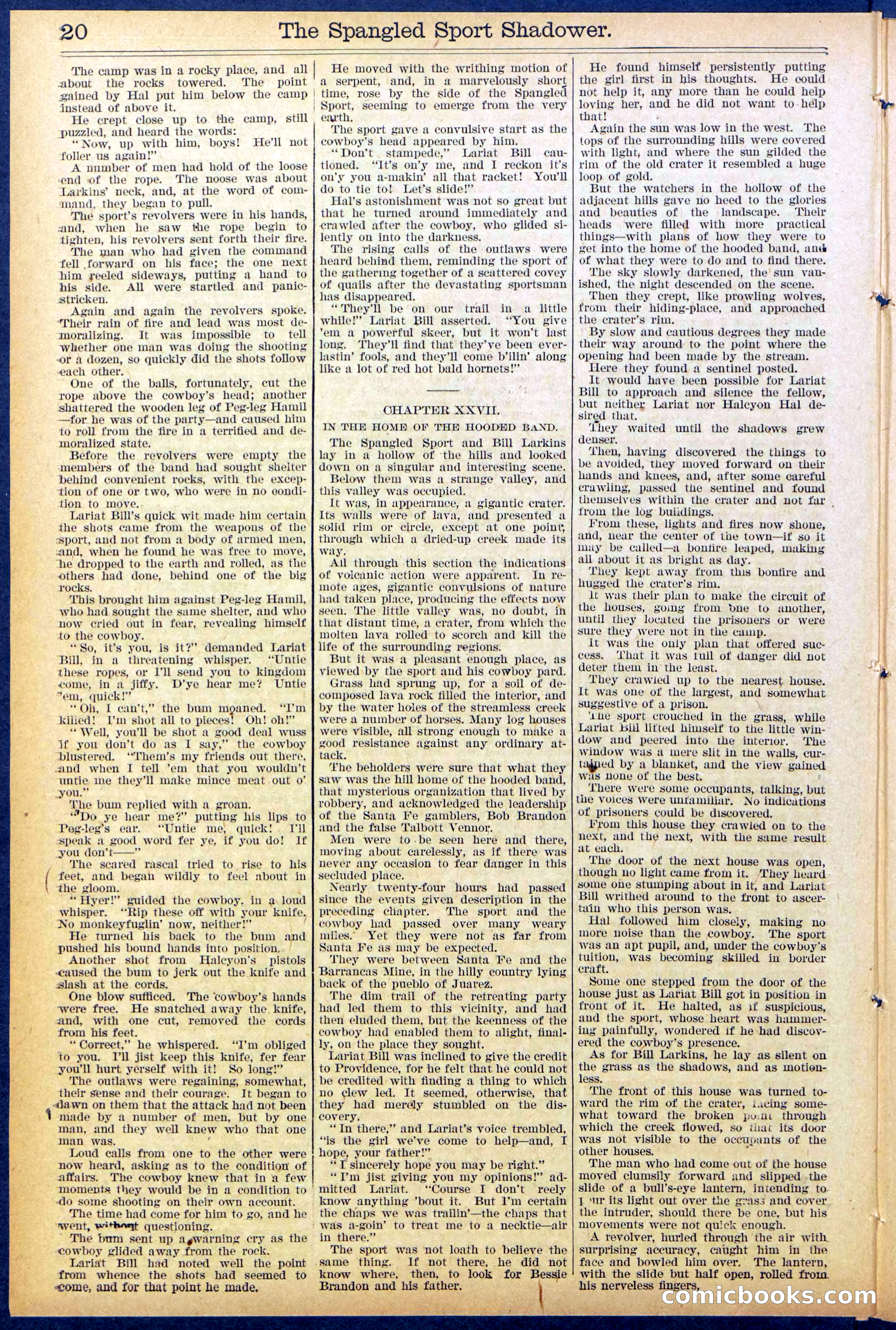 Beadle's Dime New York Library No. 860 — page 20 of 32