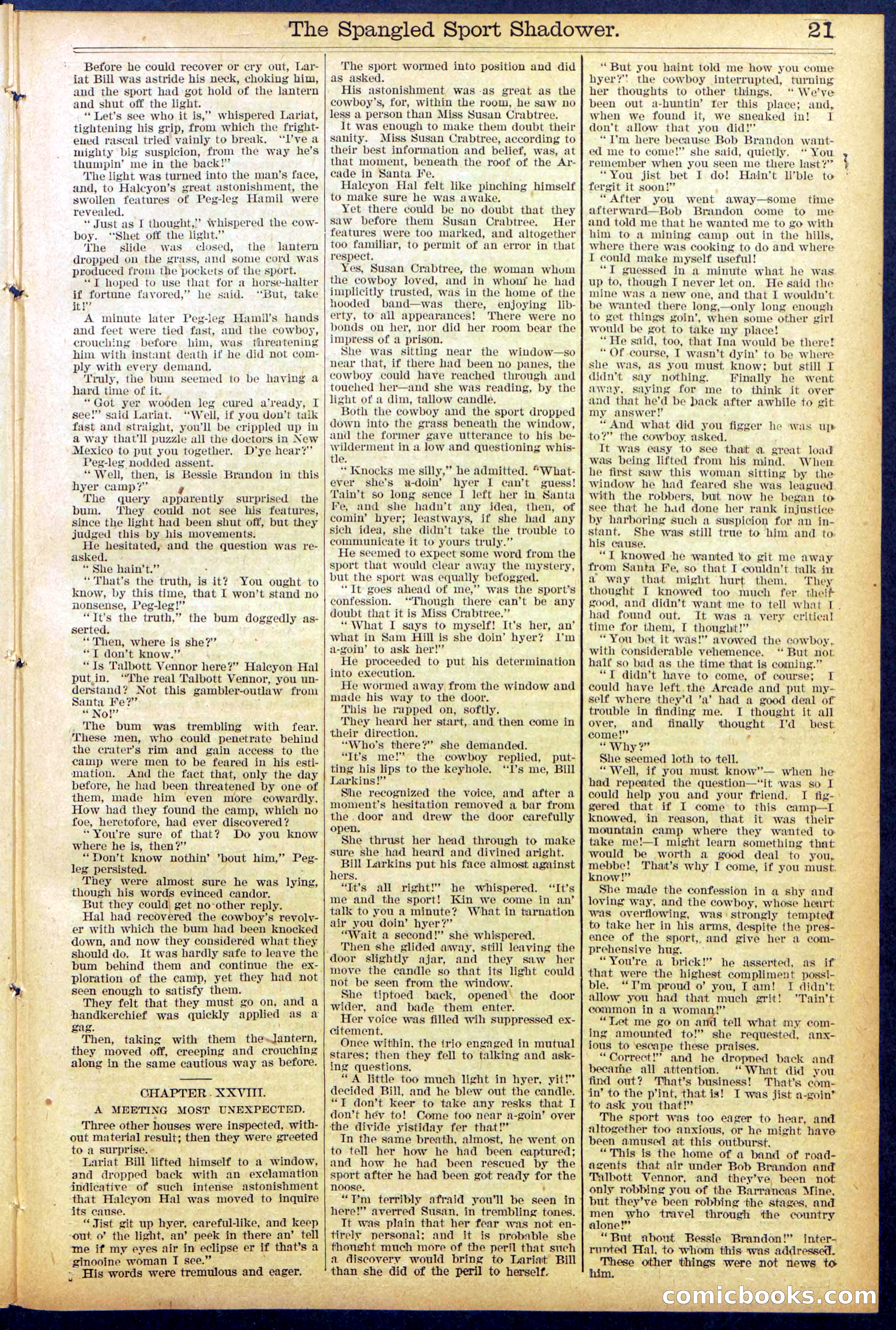 Beadle's Dime New York Library No. 860 — page 21 of 32