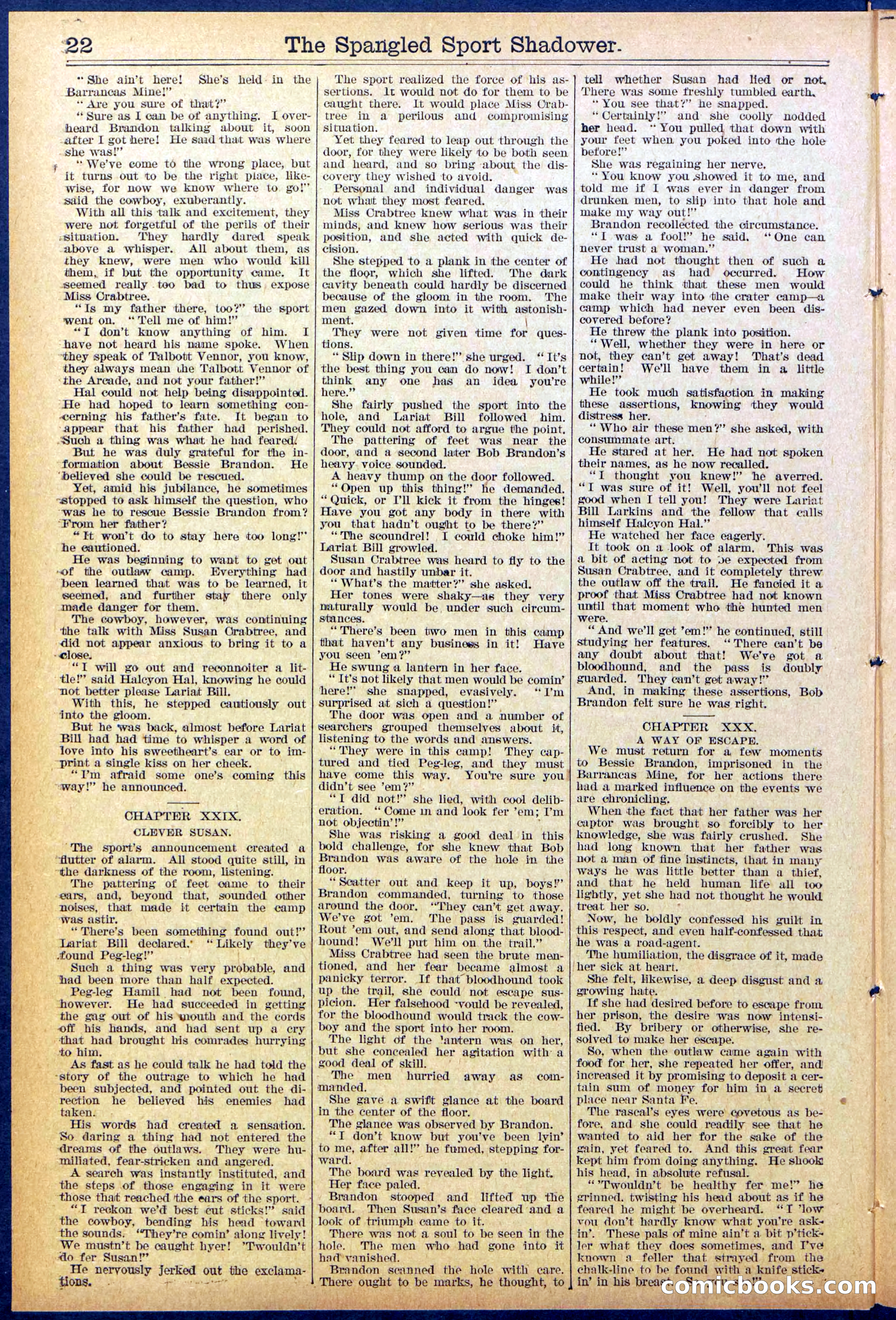 Beadle's Dime New York Library No. 860 — page 22 of 32