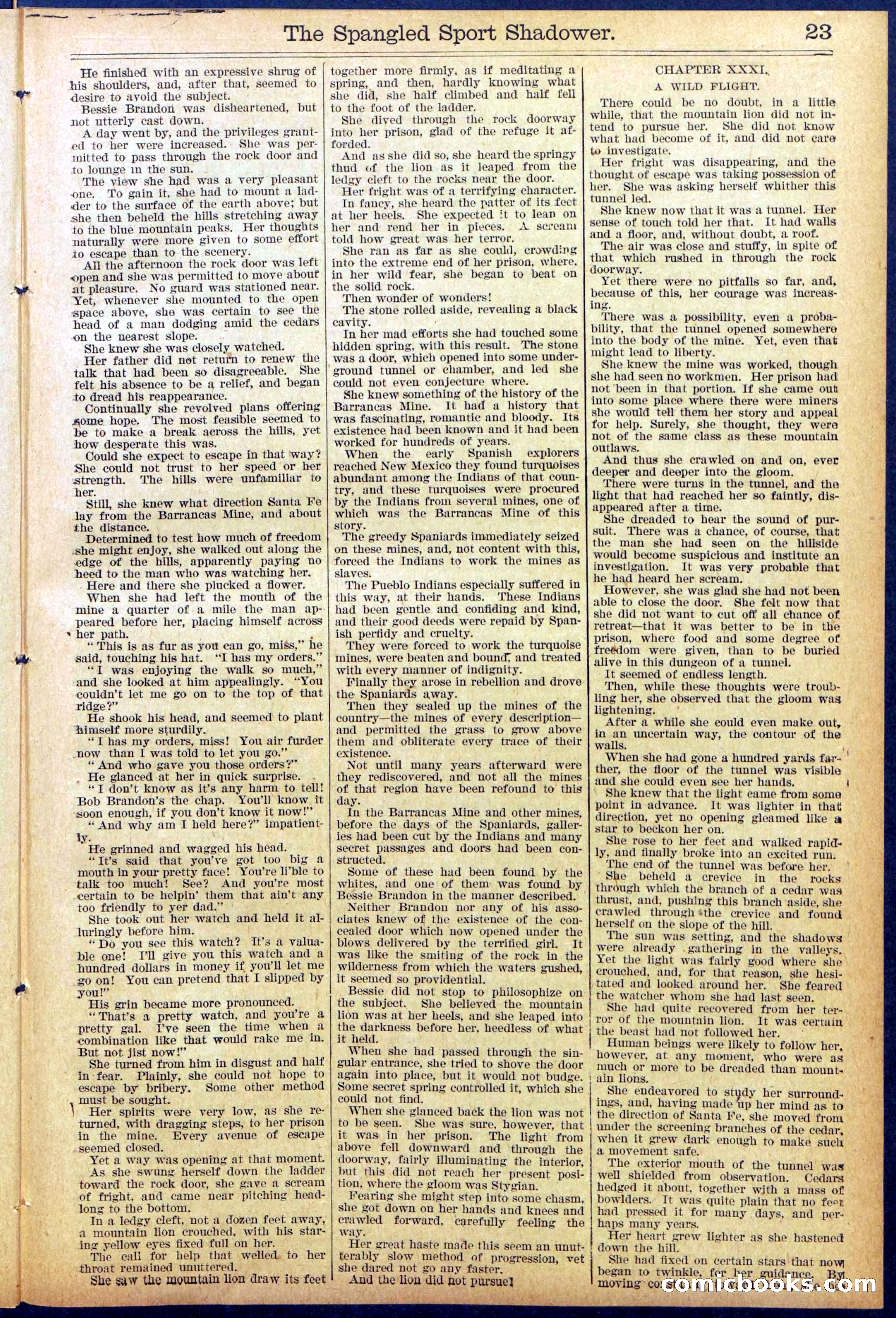 Beadle's Dime New York Library No. 860 — page 23 of 32