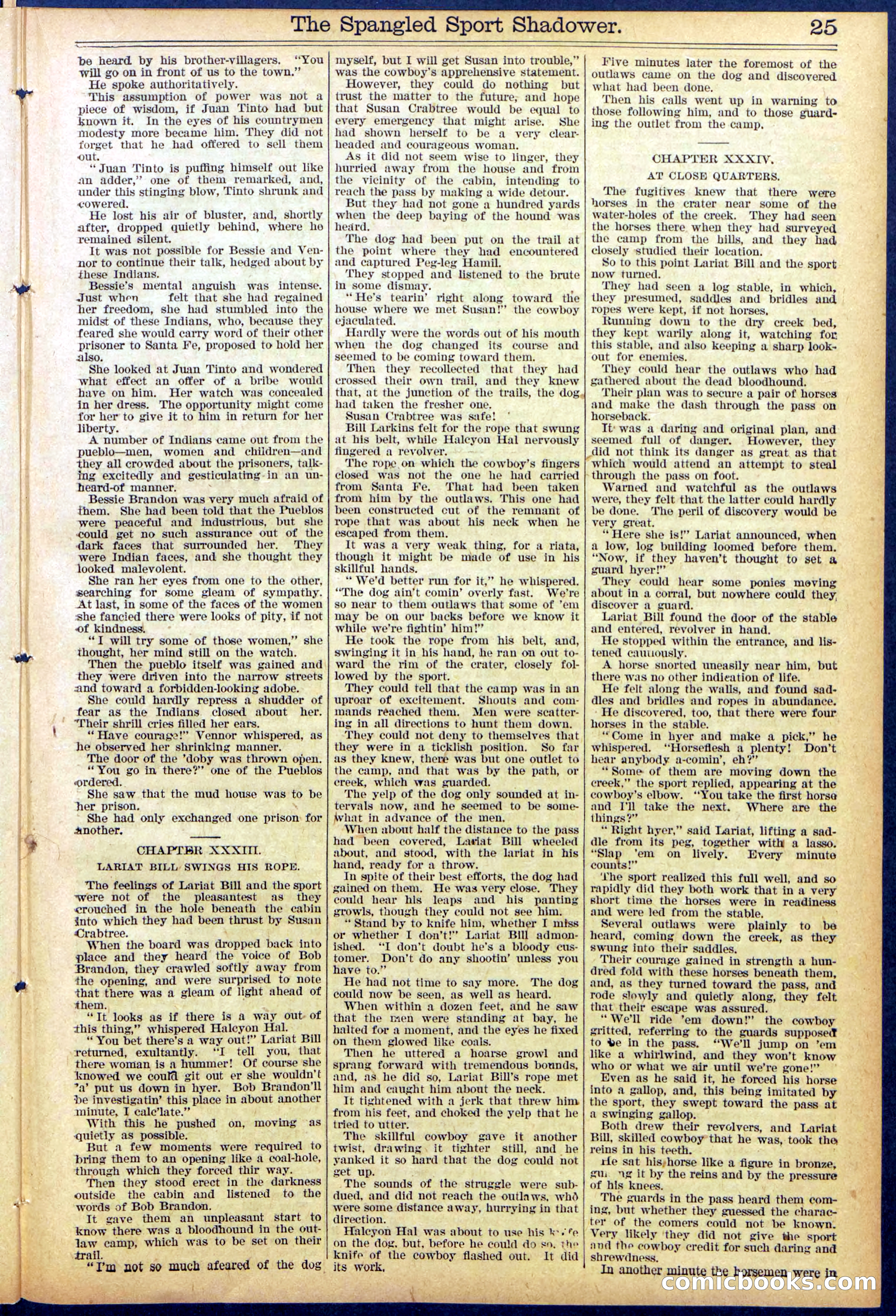 Beadle's Dime New York Library No. 860 — page 25 of 32