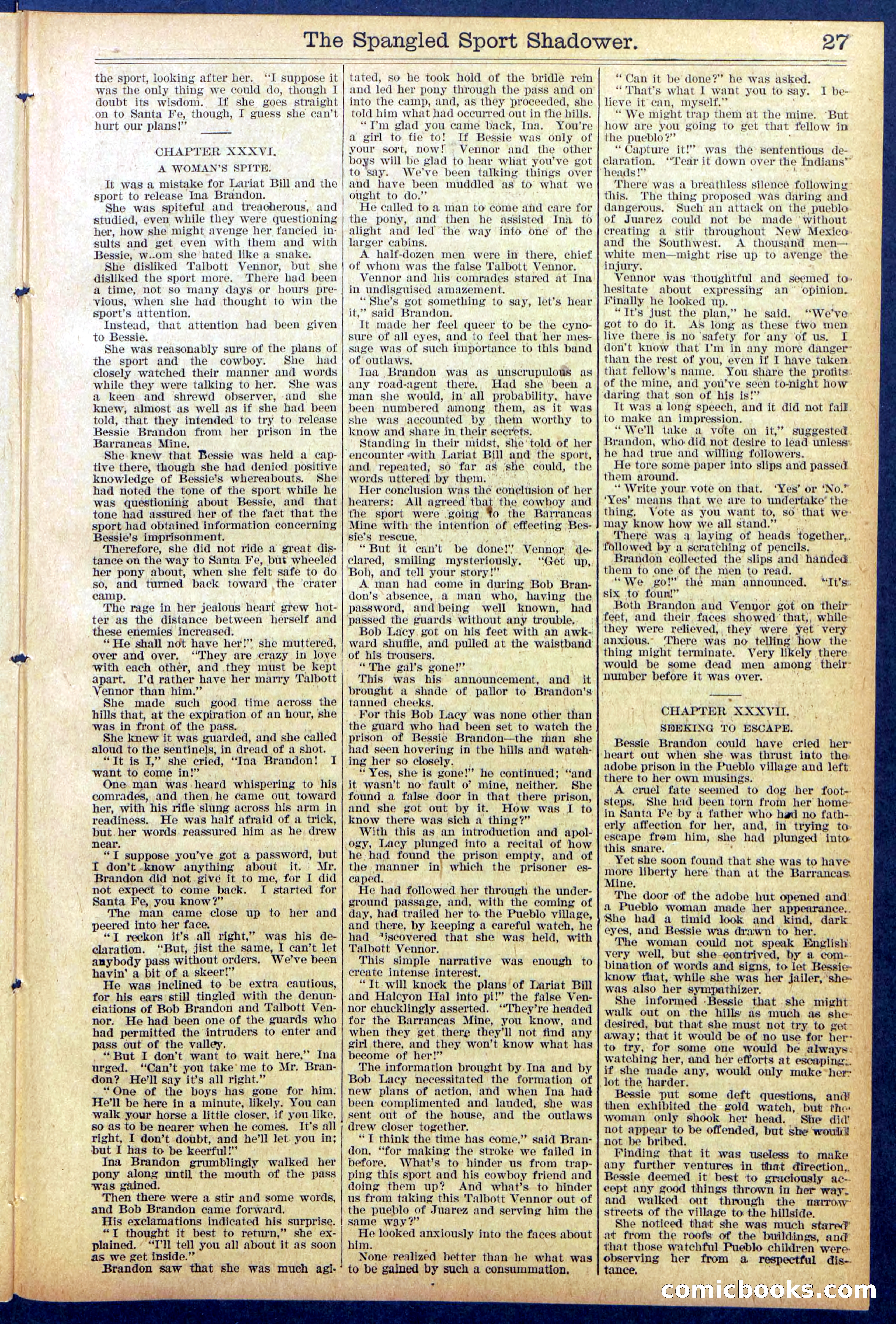 Beadle's Dime New York Library No. 860 — page 27 of 32